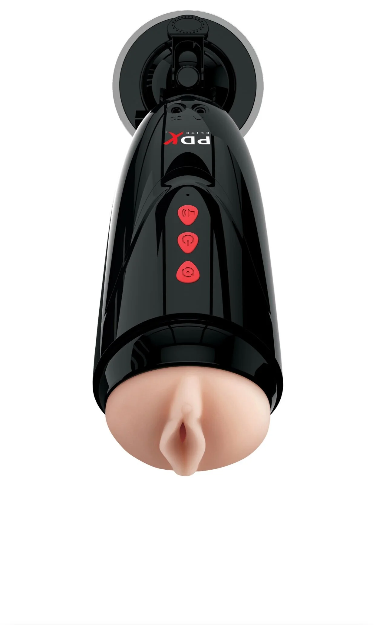 D97F581A-9BDD-4C86-8315-D60931DB6243