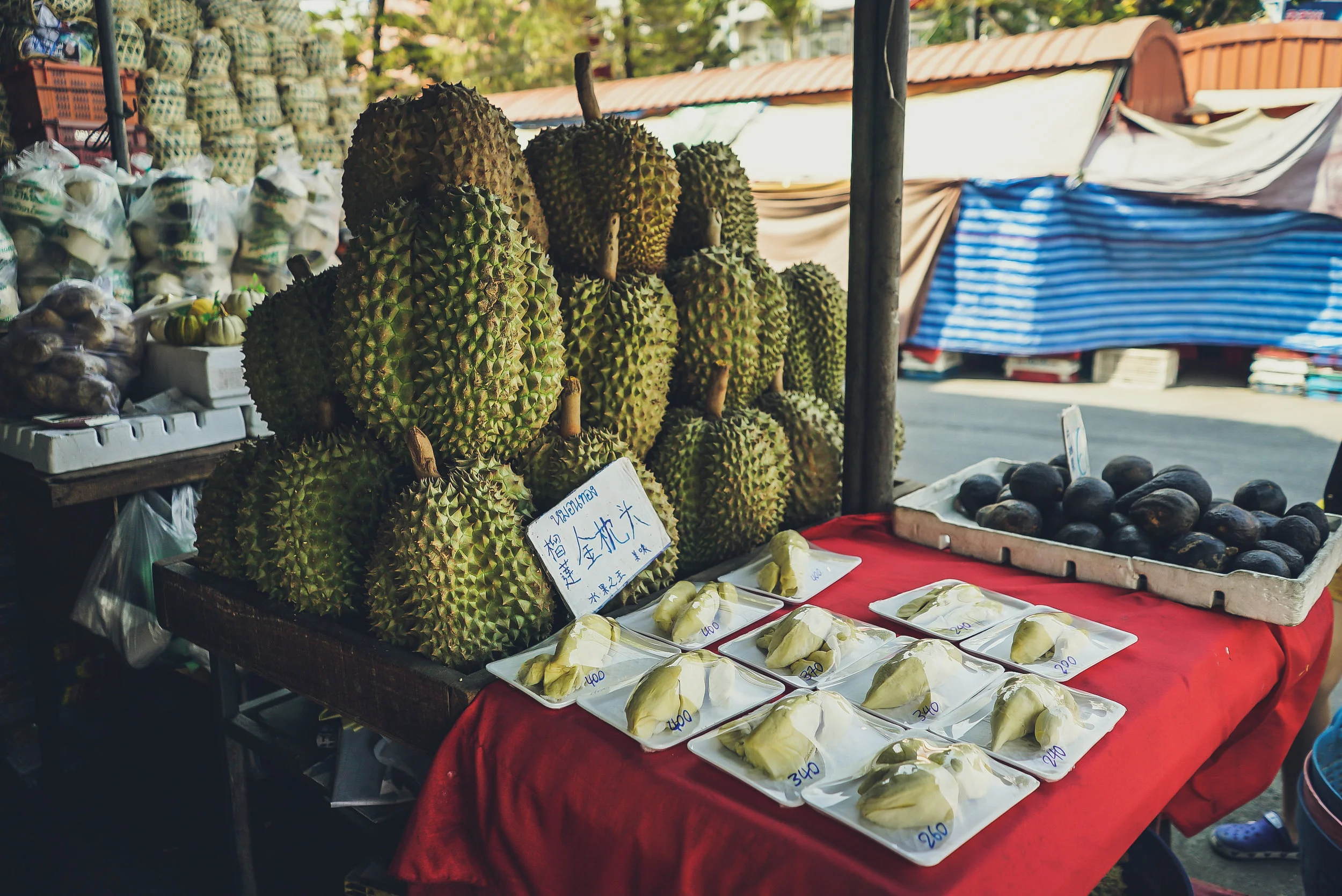 Recent Commentaries on Durian