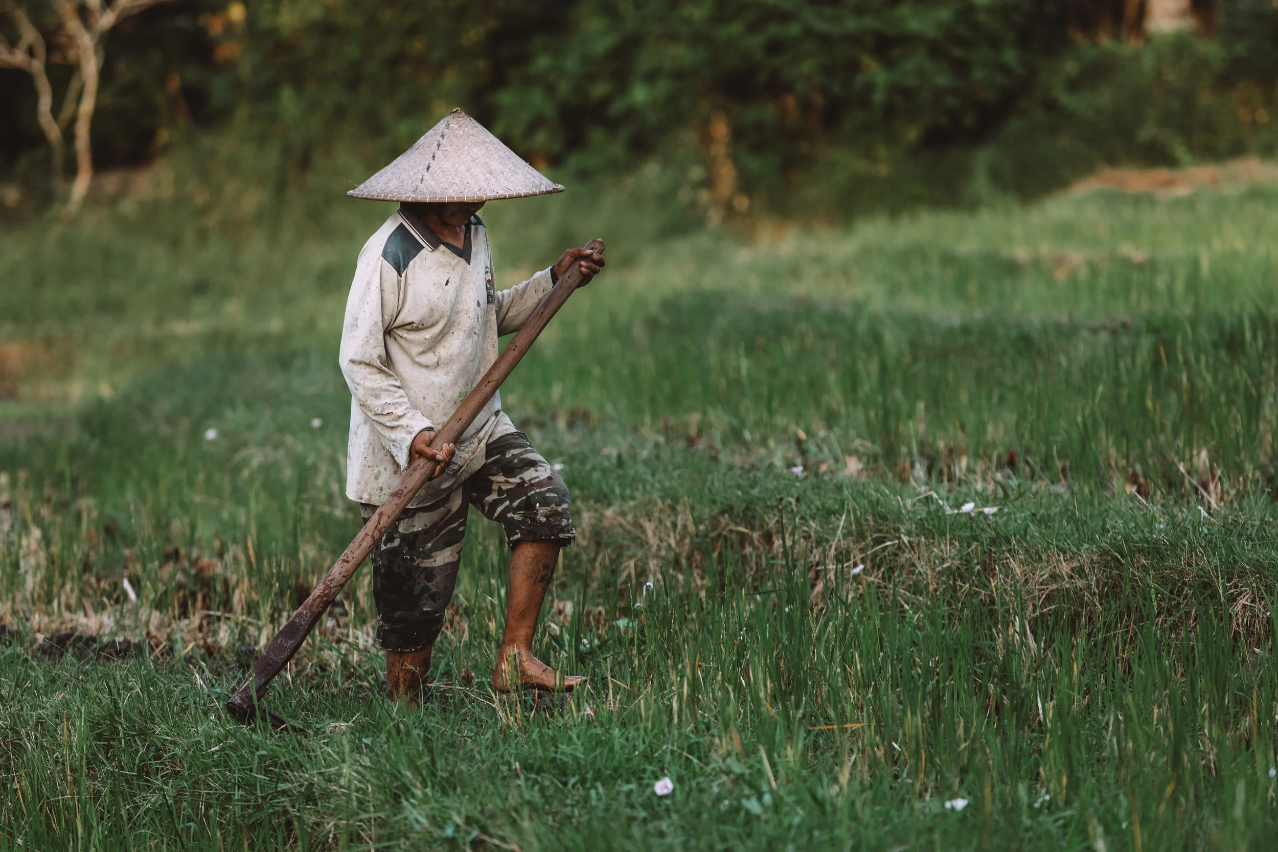 Sneak Peak: Indonesia's Internal Migrants by Khor Reports