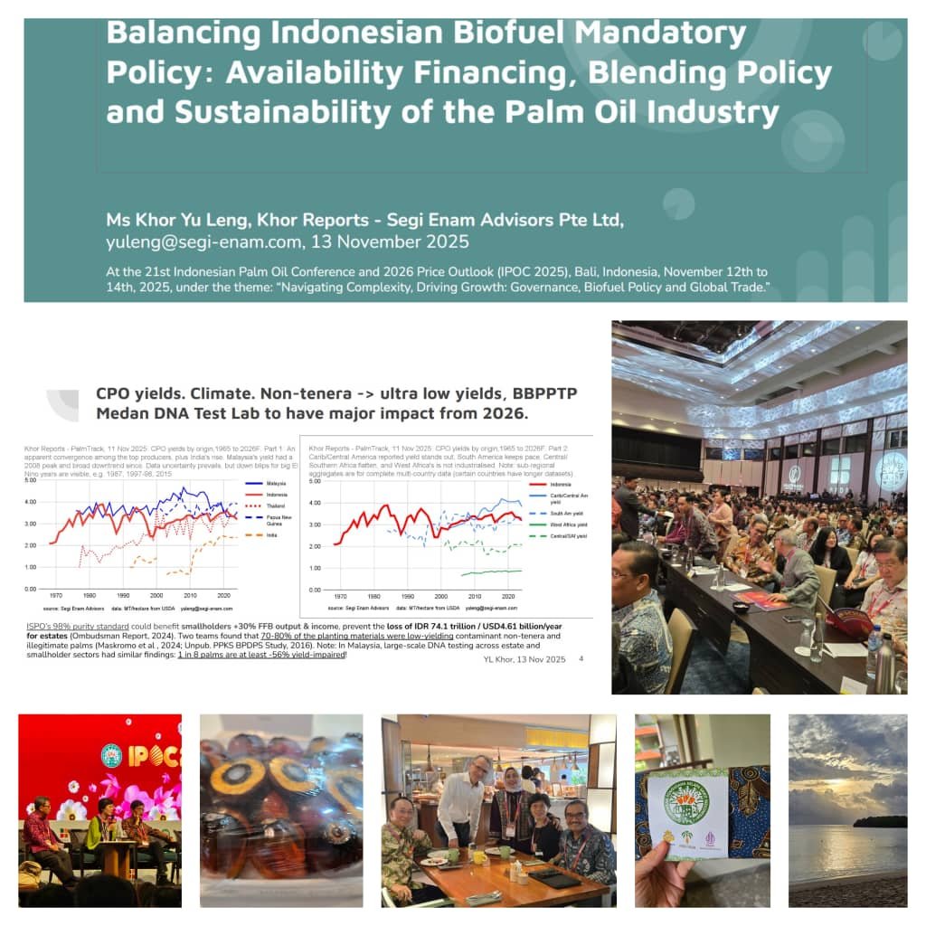 WhatsApp Image 2025-11-14 at 07.21.24.jpeg