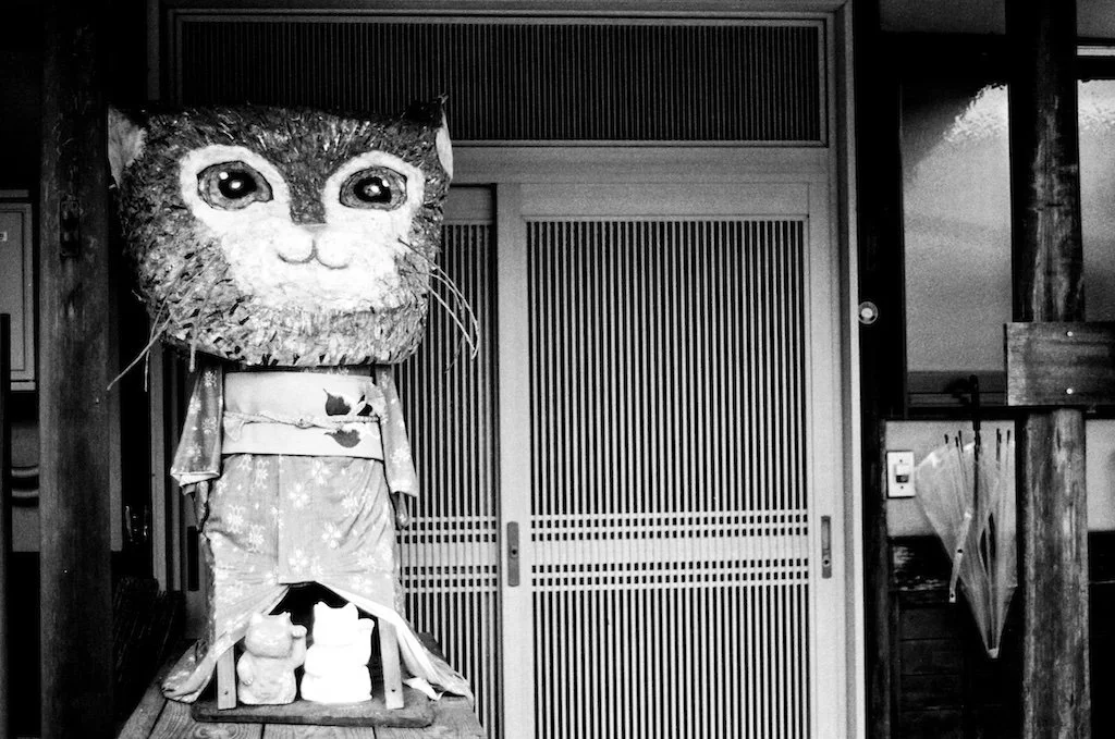 Kimono Cat copy 2.jpeg