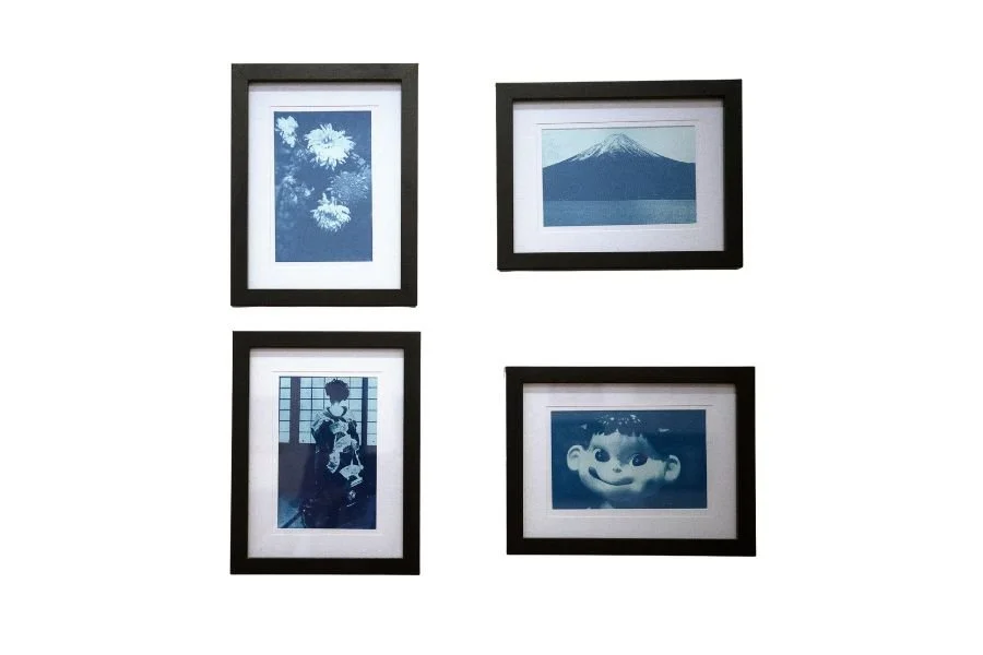 Cyanotypes