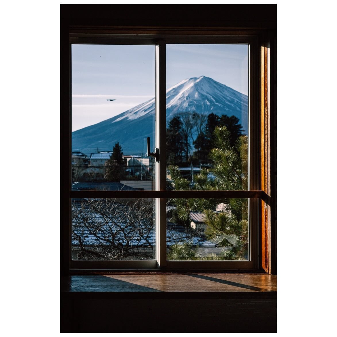 I forgot to post the colour version of this.  I managed to get a bird in this frame 🦅. Fuji dreaming 🗻