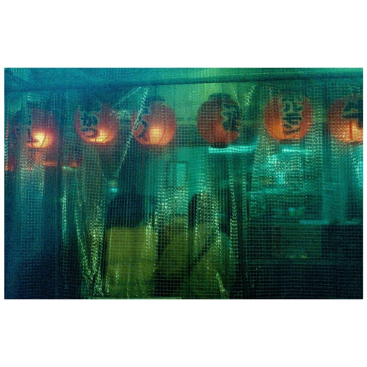 🏮🏮🏮