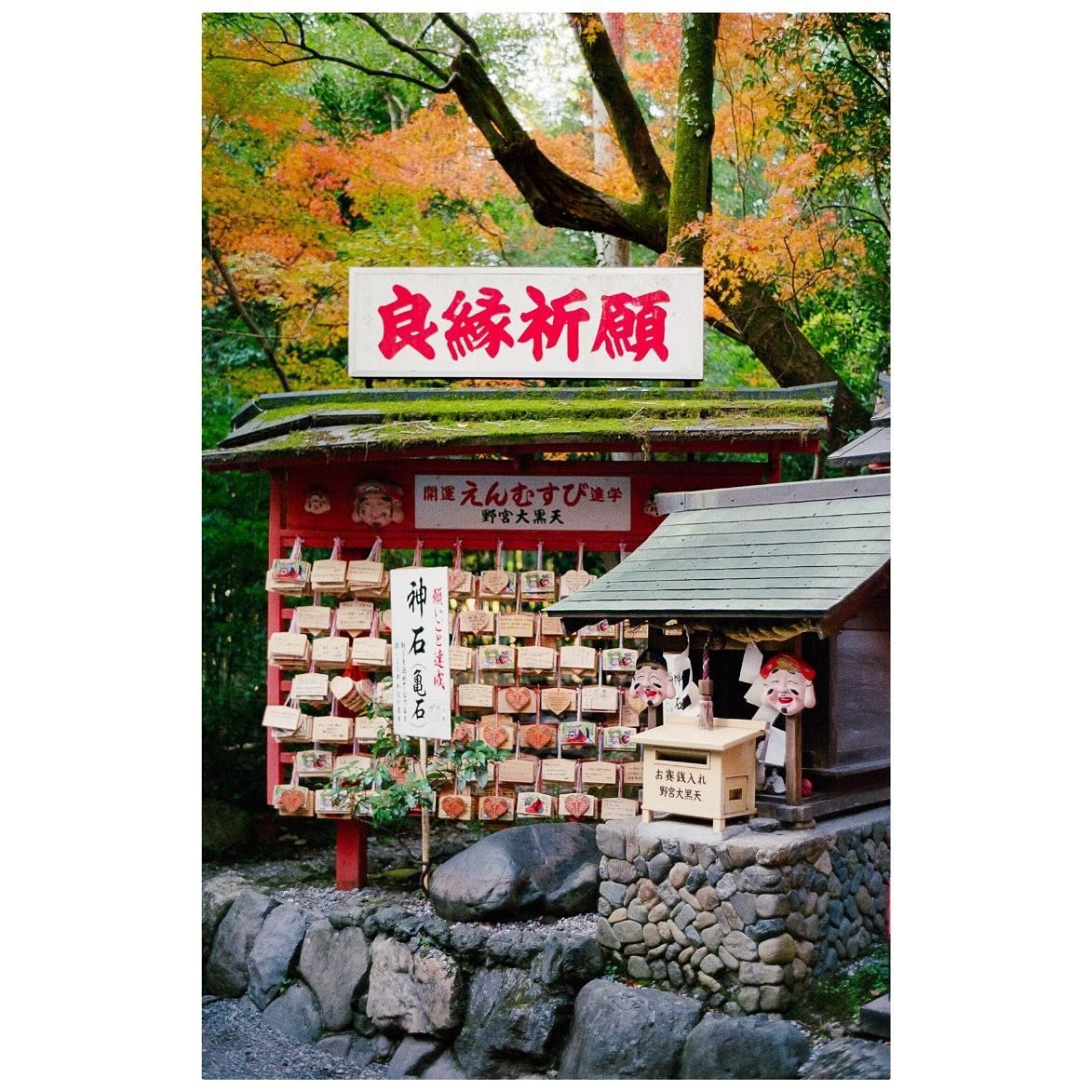Arashiyama Bamboo Forest. 🎋