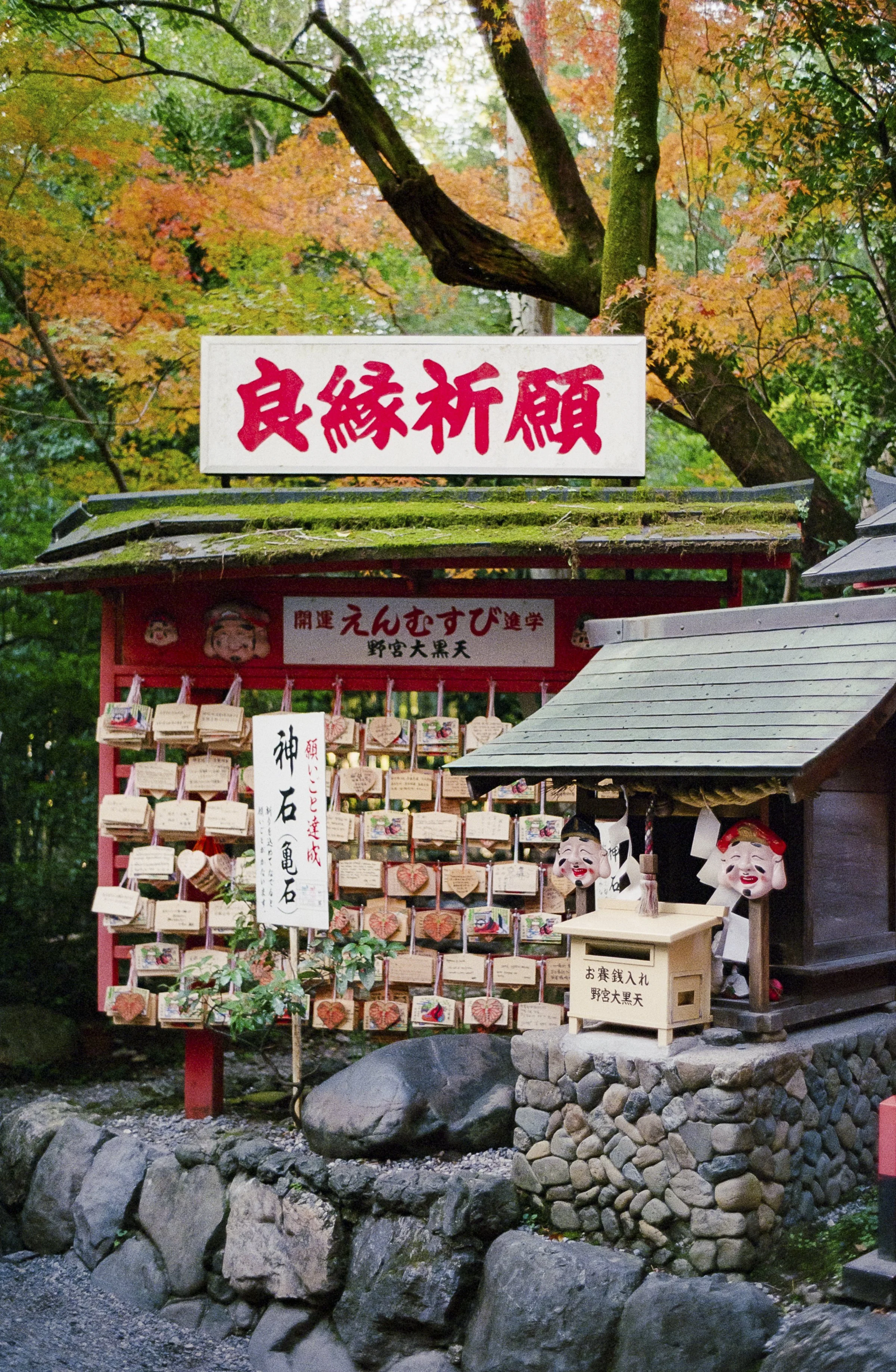 Bamboo Forest 4 .jpg