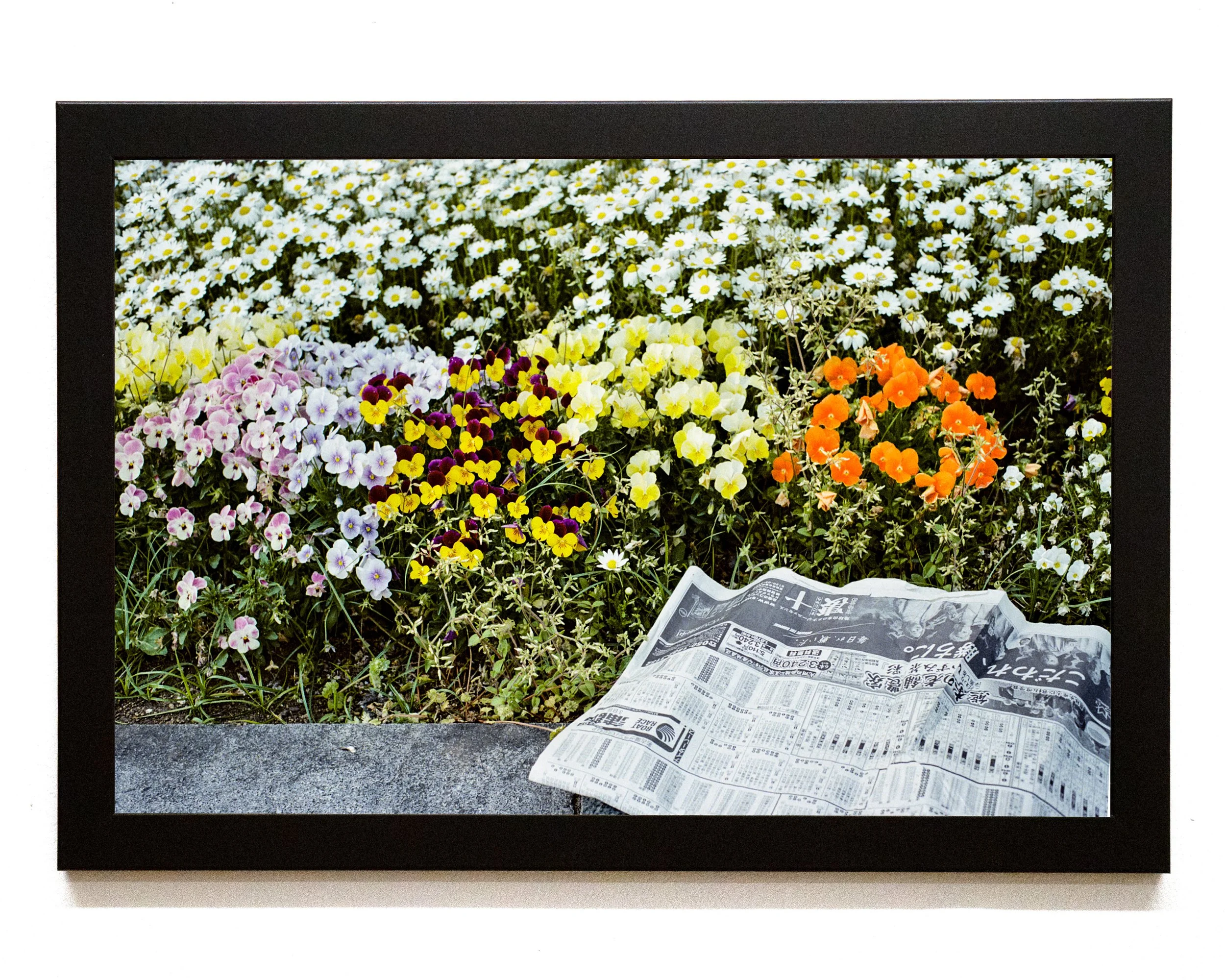 News in Spring