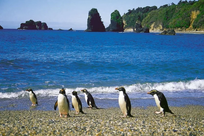 Lake Moeraki Wilderness Stay 