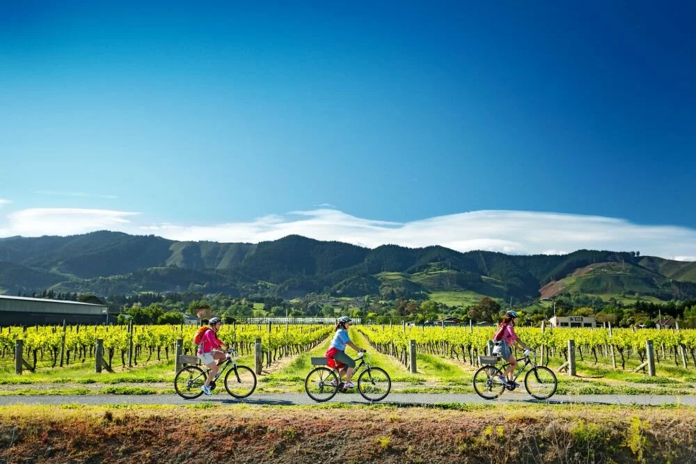 The Nelson Tasman Great Taste Trail