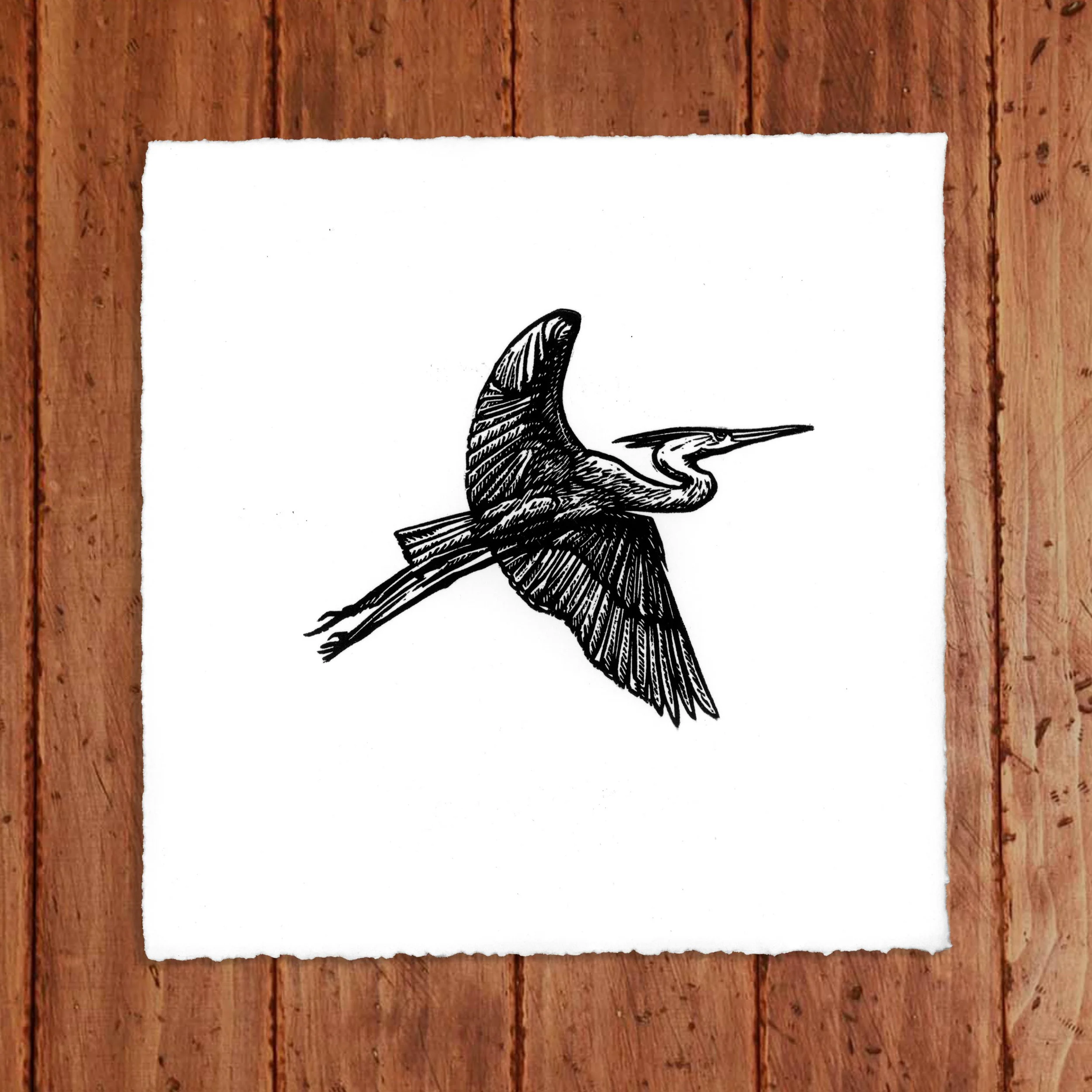 Heron.LyP.jpg