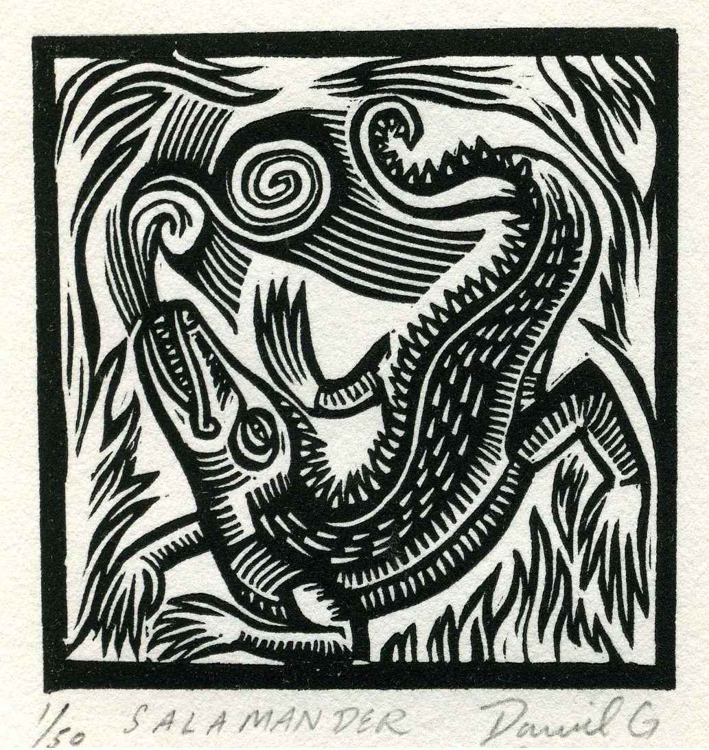 salamander.WEB.jpg