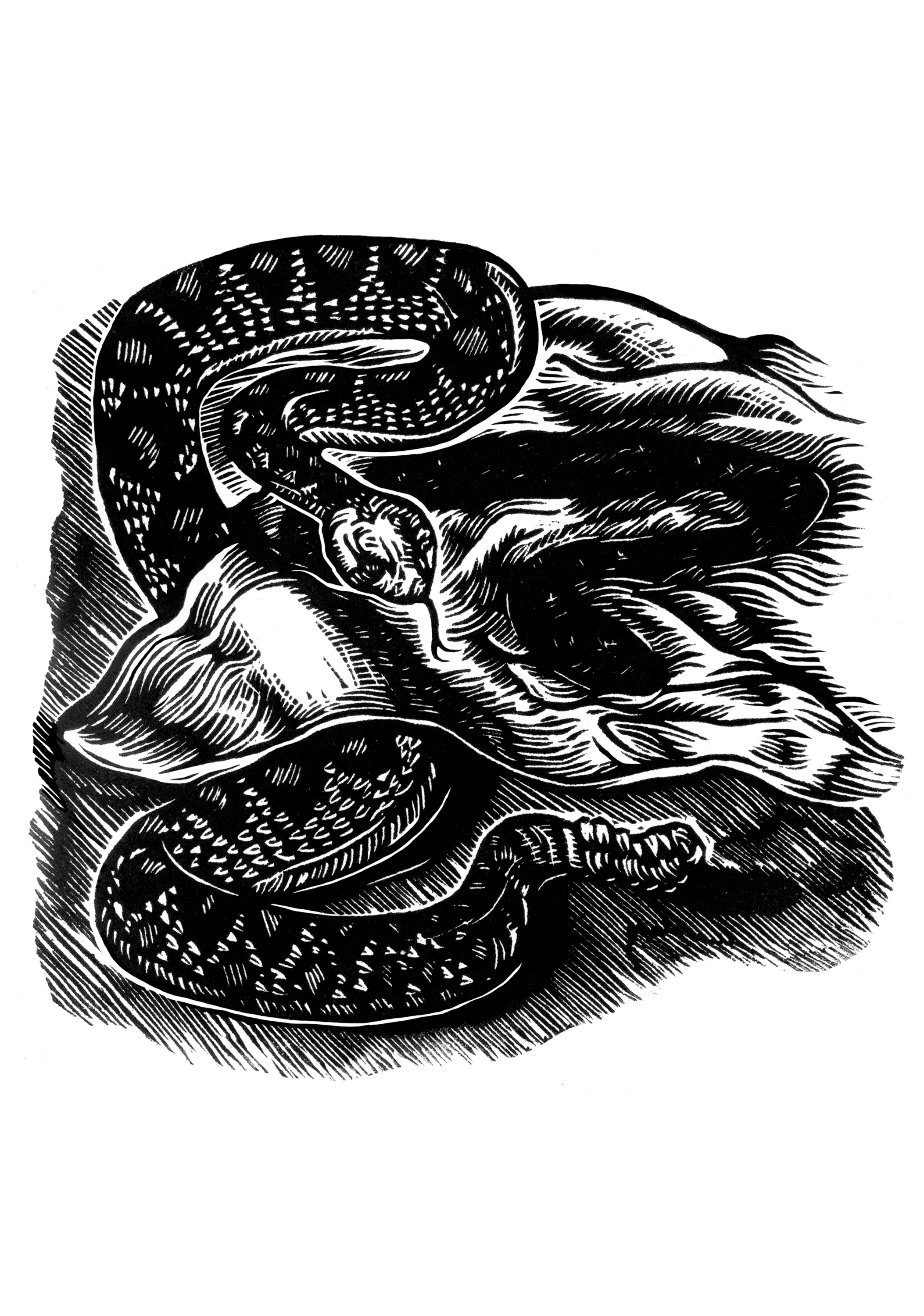 Rattler