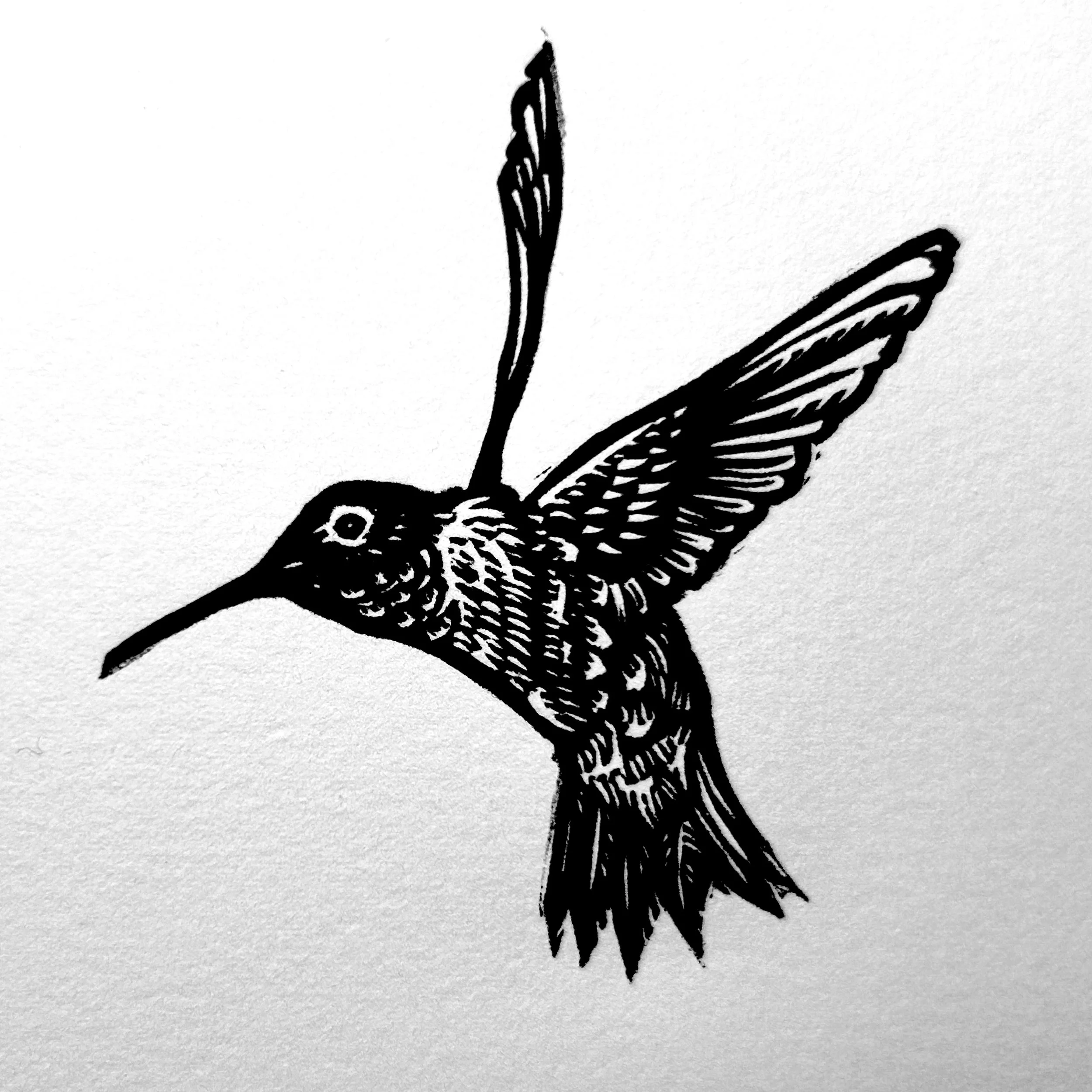 2.HummingbirdWEB.jpg