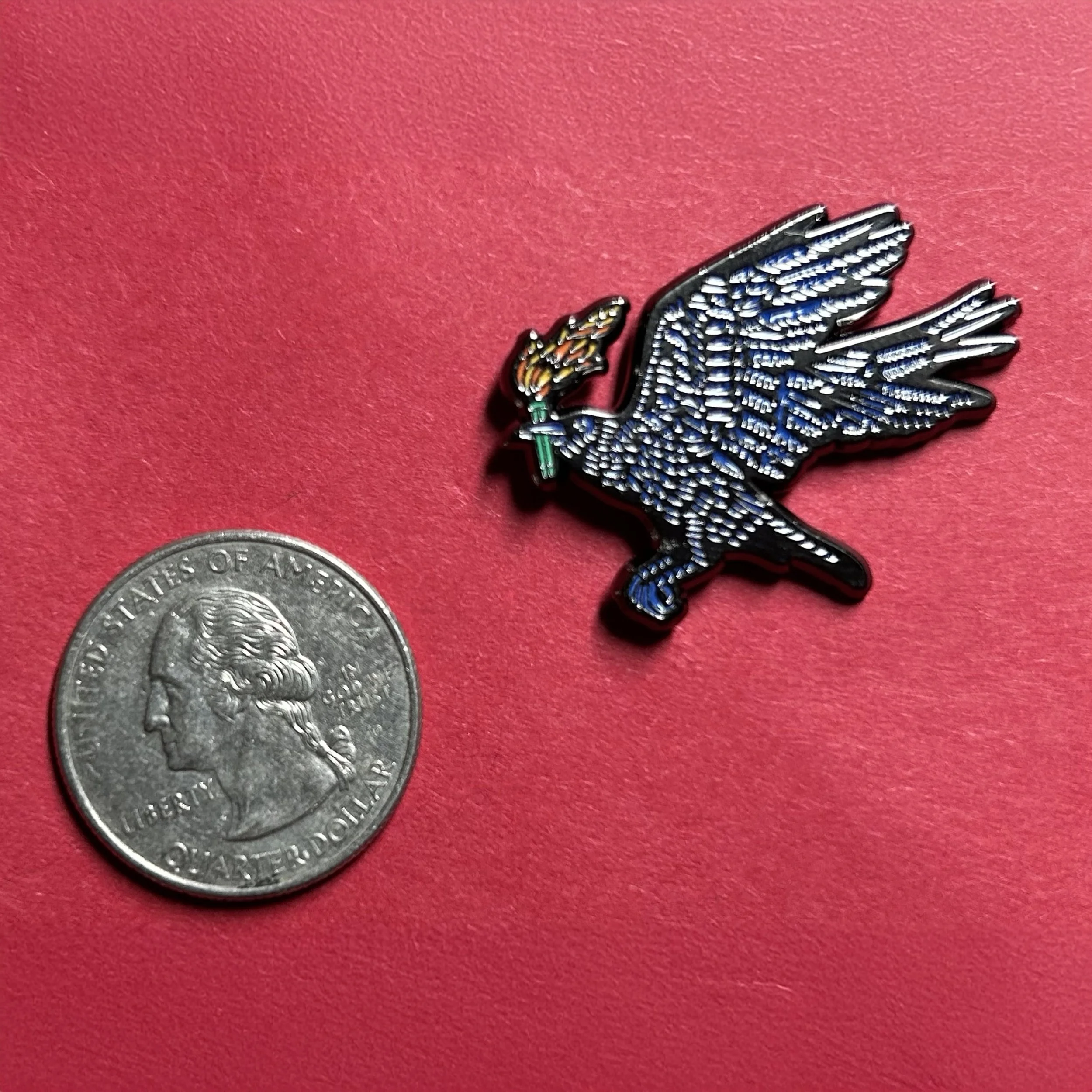 3.RavenPin.jpg