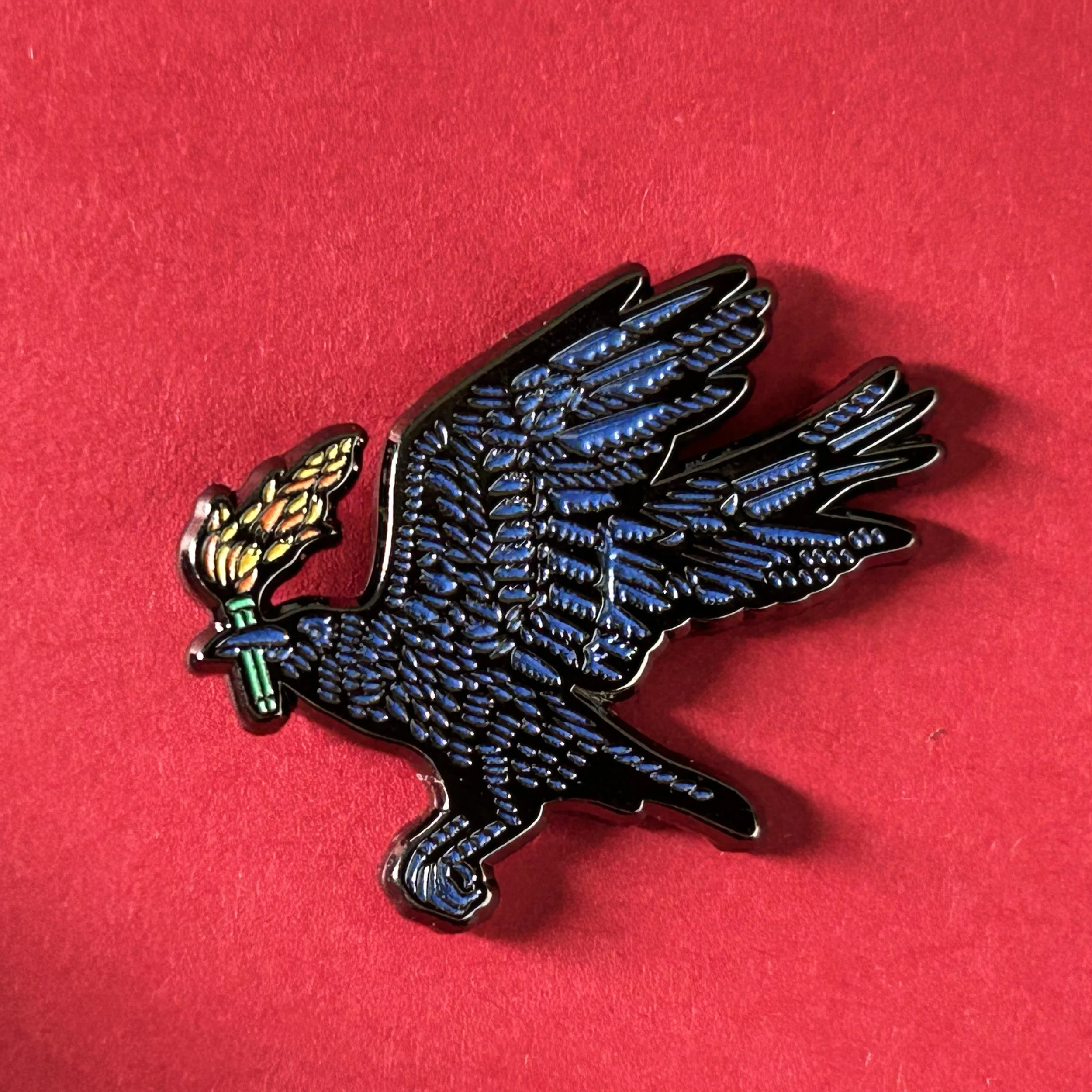 1.RavenPin.jpg