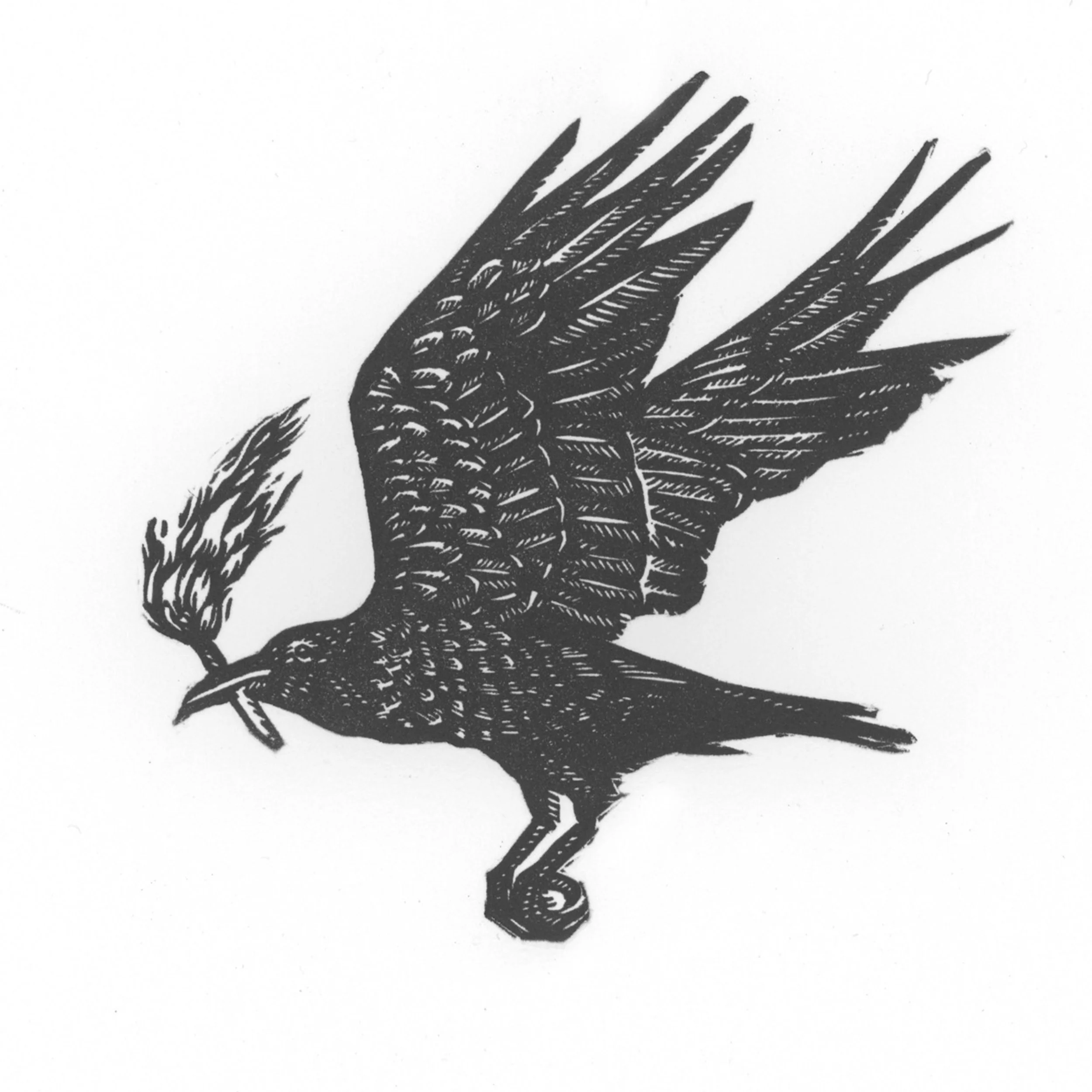 Raven.LyP.2.jpg