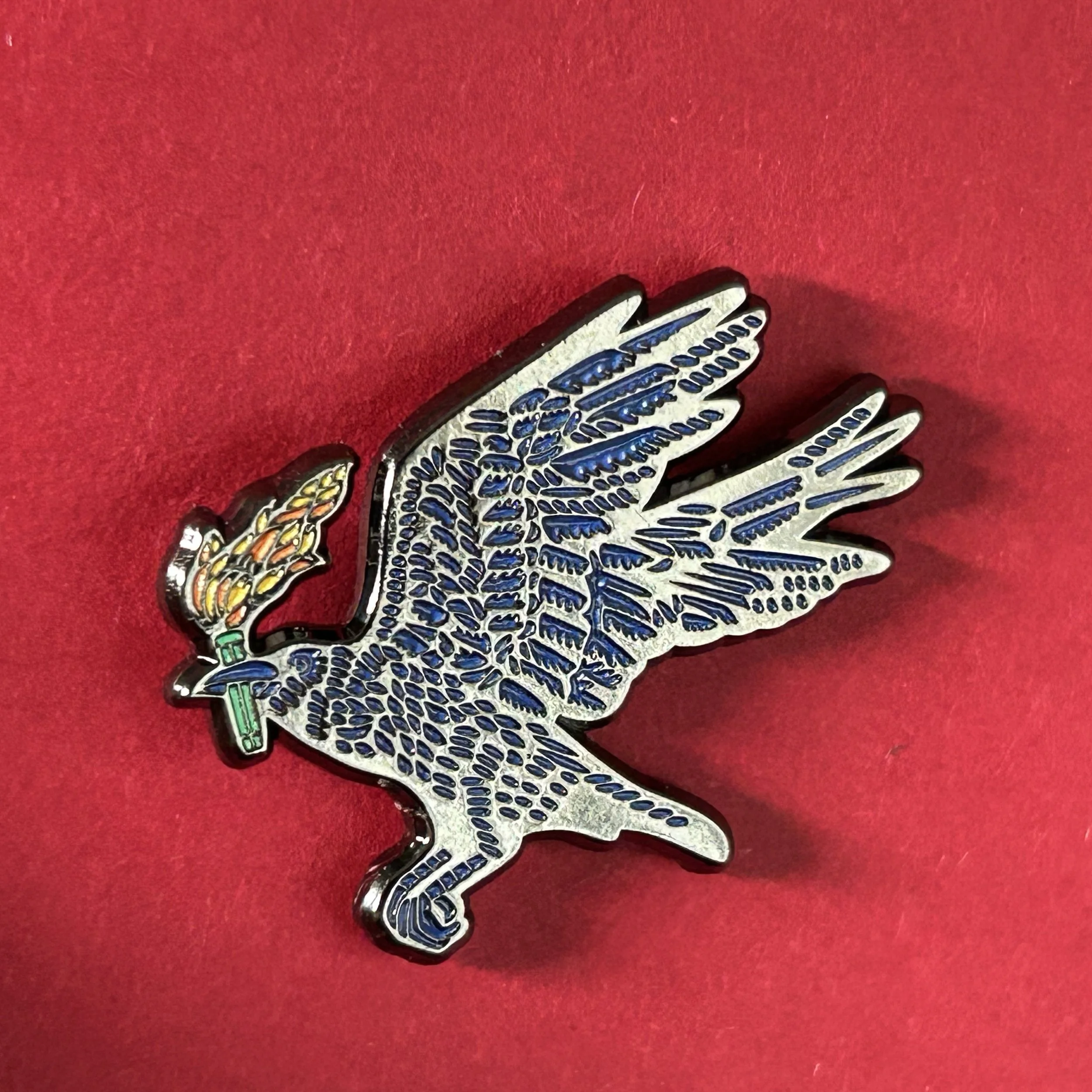 2.RavenPin.jpg