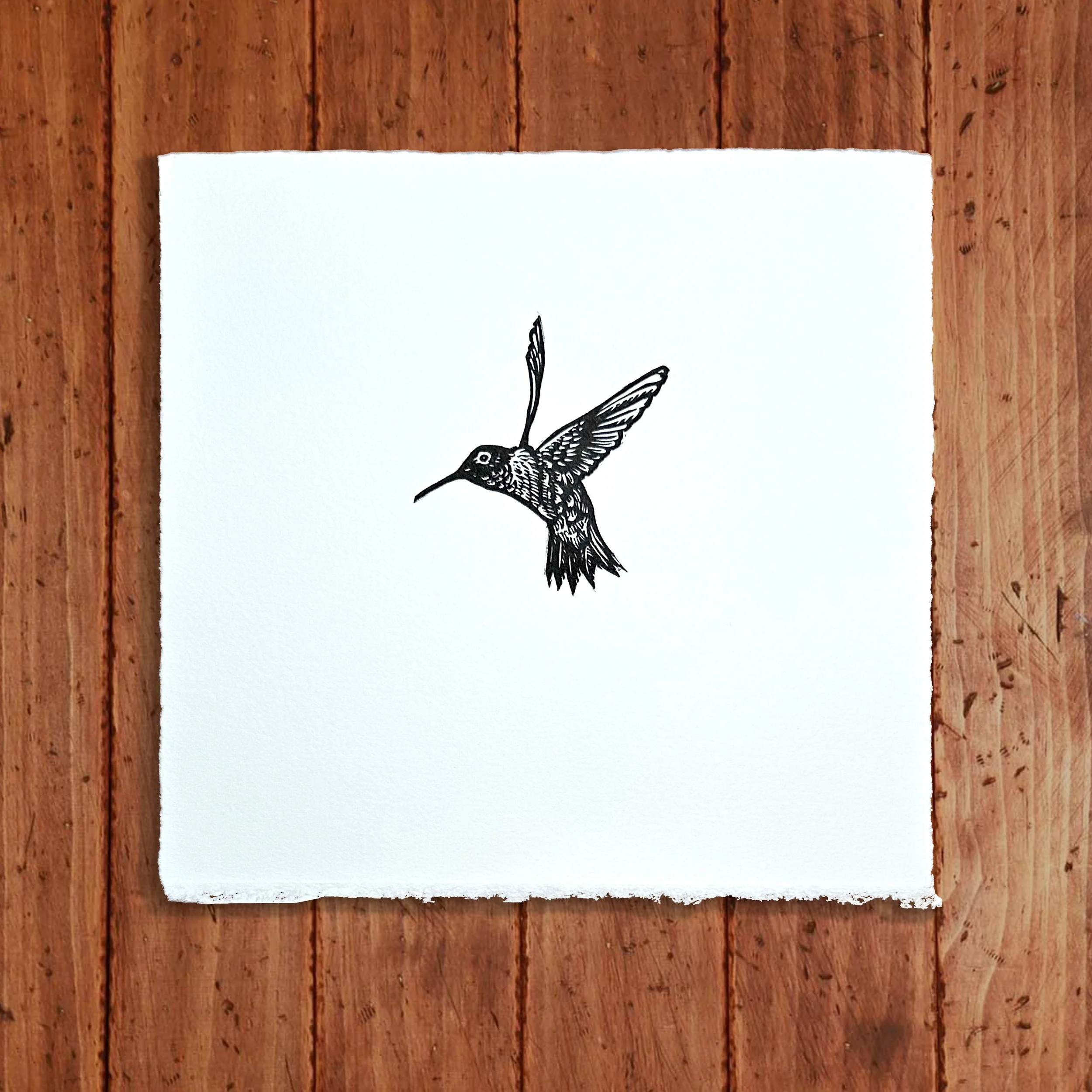 HummingbirdWEB.jpg