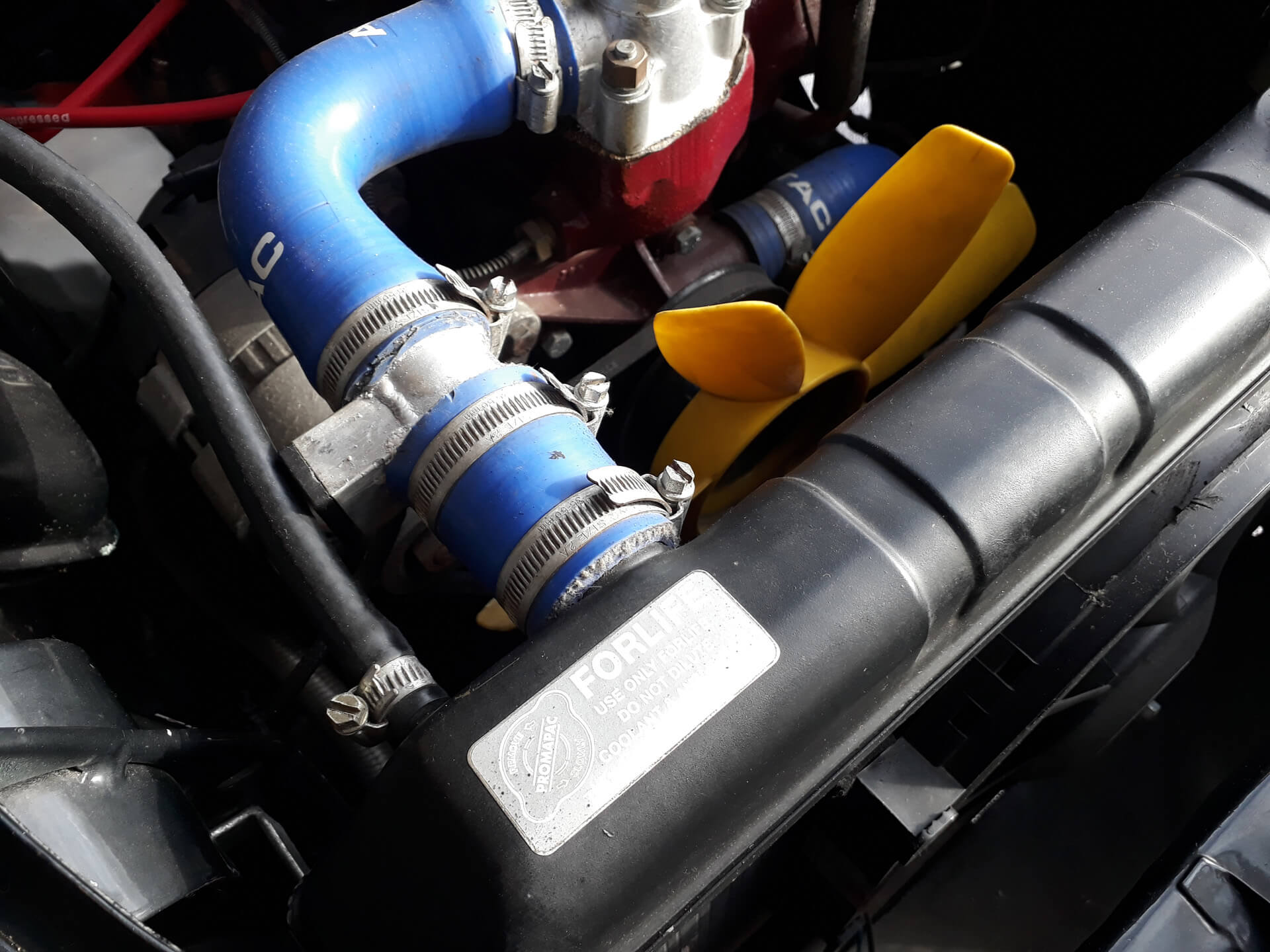 MGA radiator with Forlife sticker