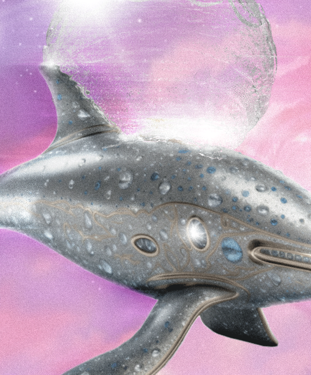 delfinArtboard-1-copy.png