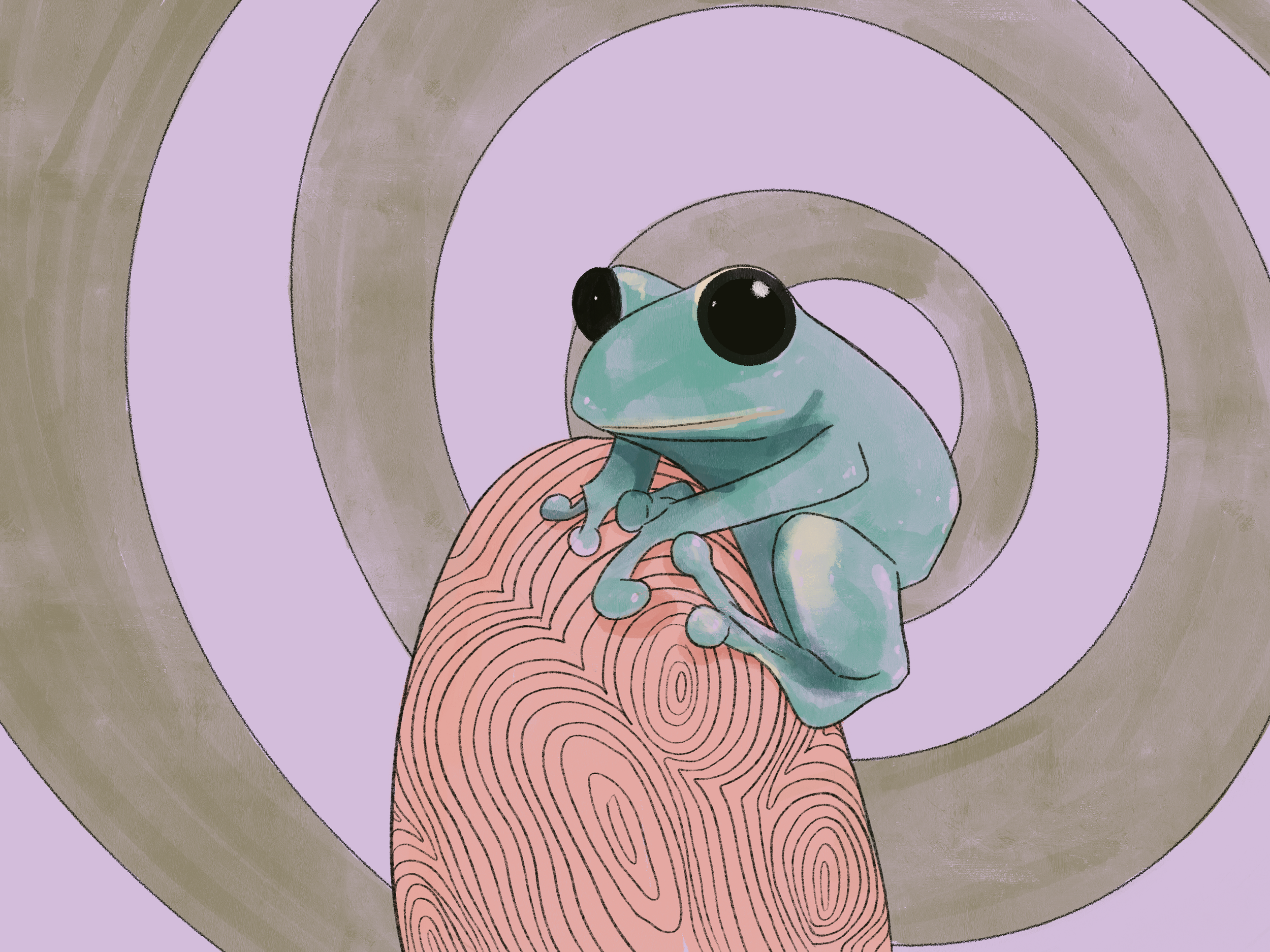 small green frog illustration made in procreate