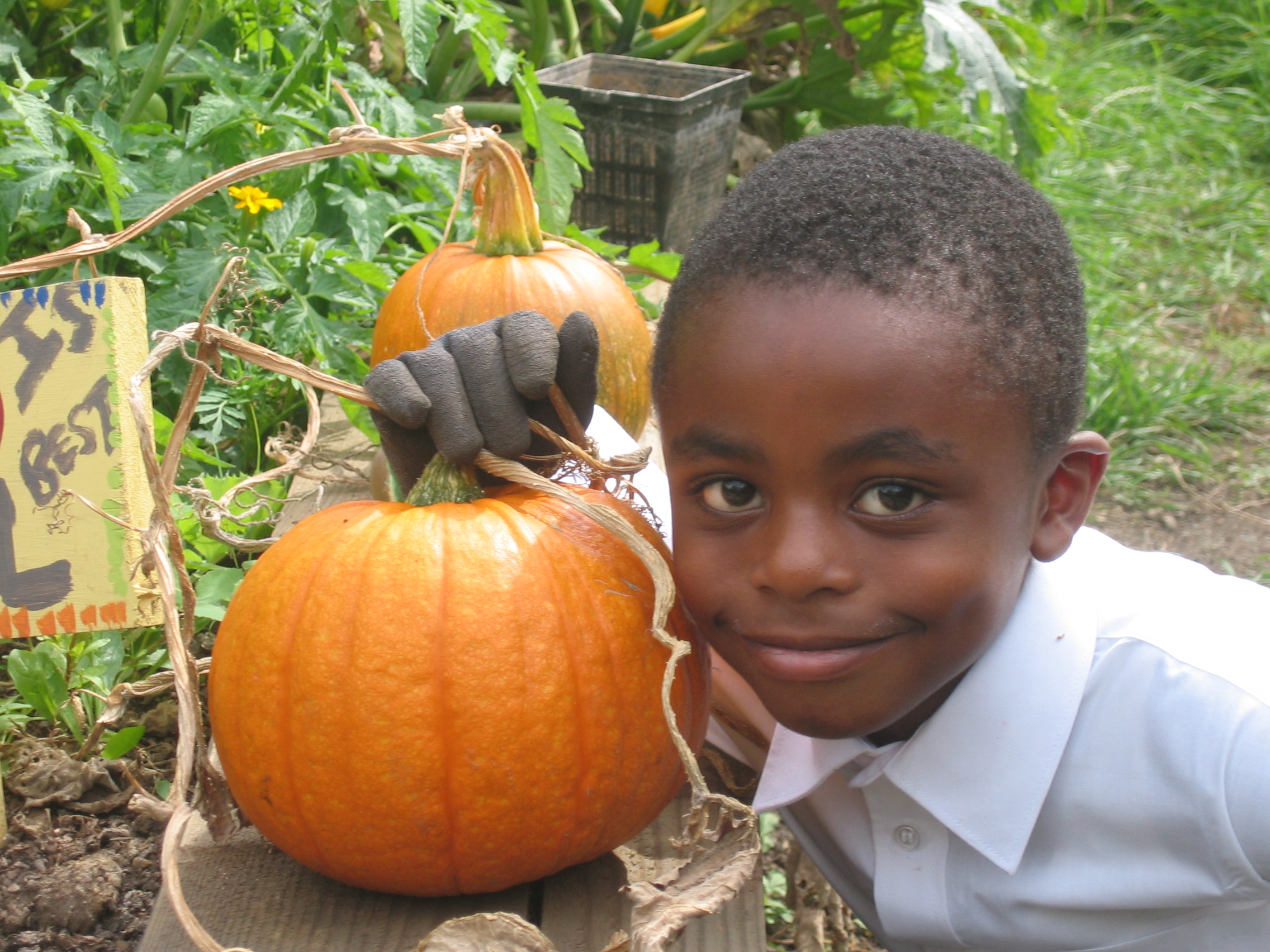 LocalFoodBoyPumkin.jpg