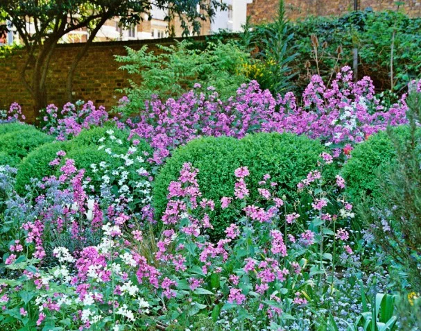 MintFlowers1.jpg