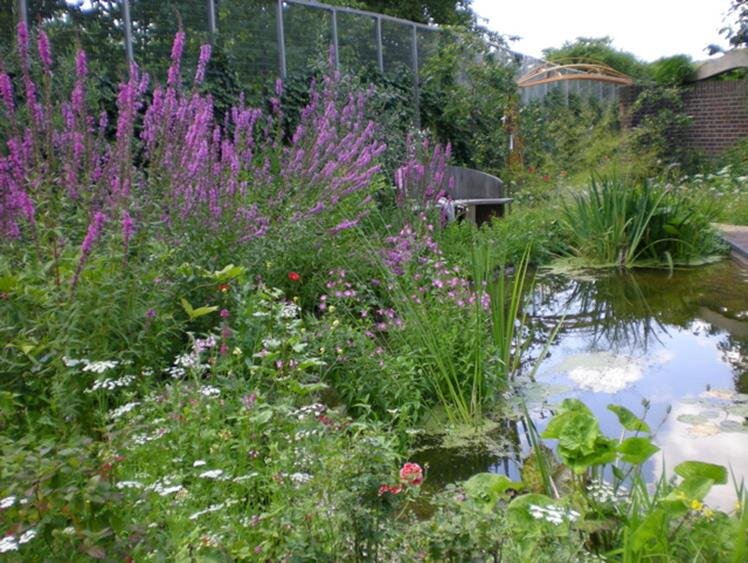 Tate Community Garden.jpg