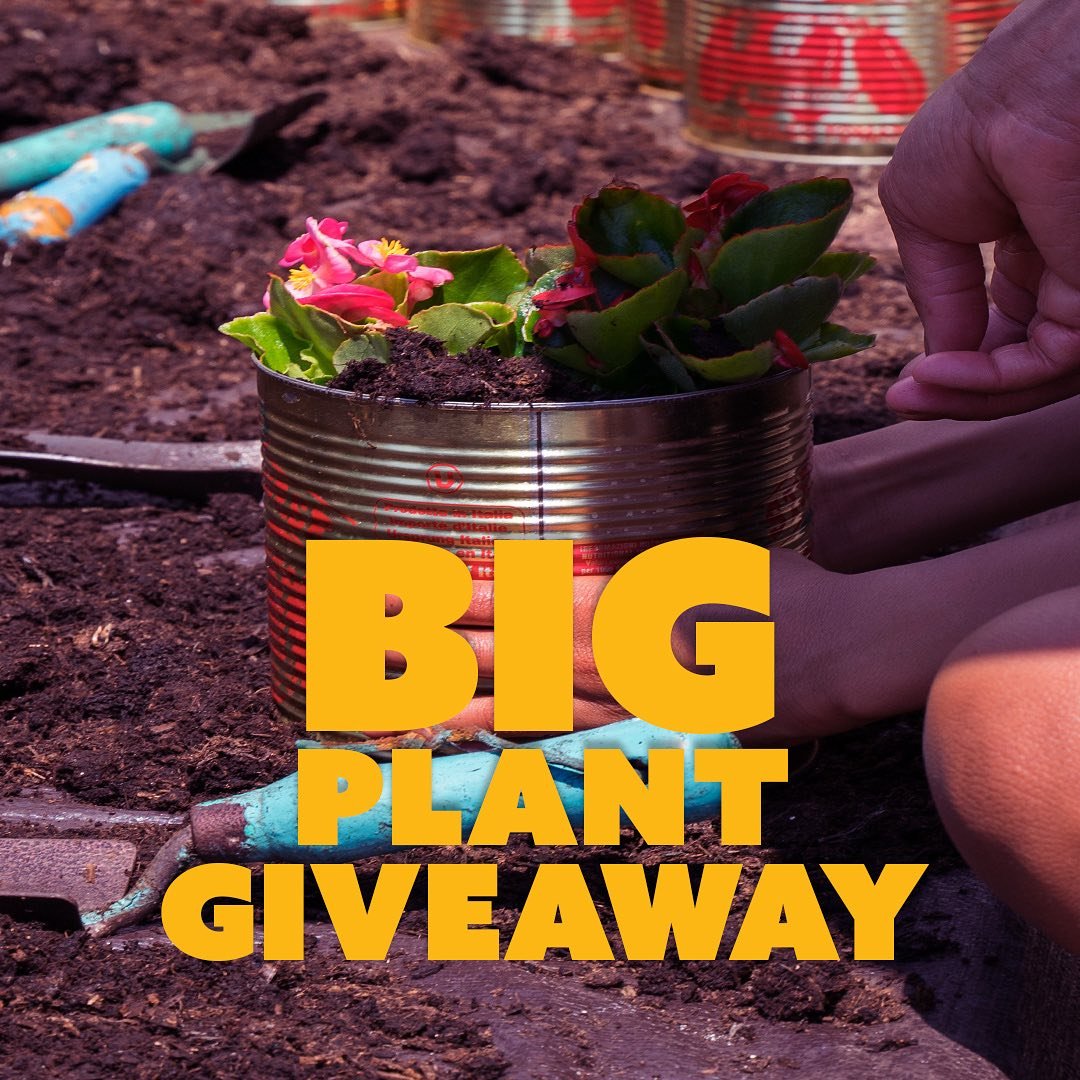 Free plants anyone? 👀&nbsp;

The BIG Plant Giveaway is simple &ndash; Bankside Open Spaces Trust has plants, and we want to give them away at our Bankside Open spaces Festival.&nbsp;&nbsp;

Our festival is a celebration of the green spaces, the peop