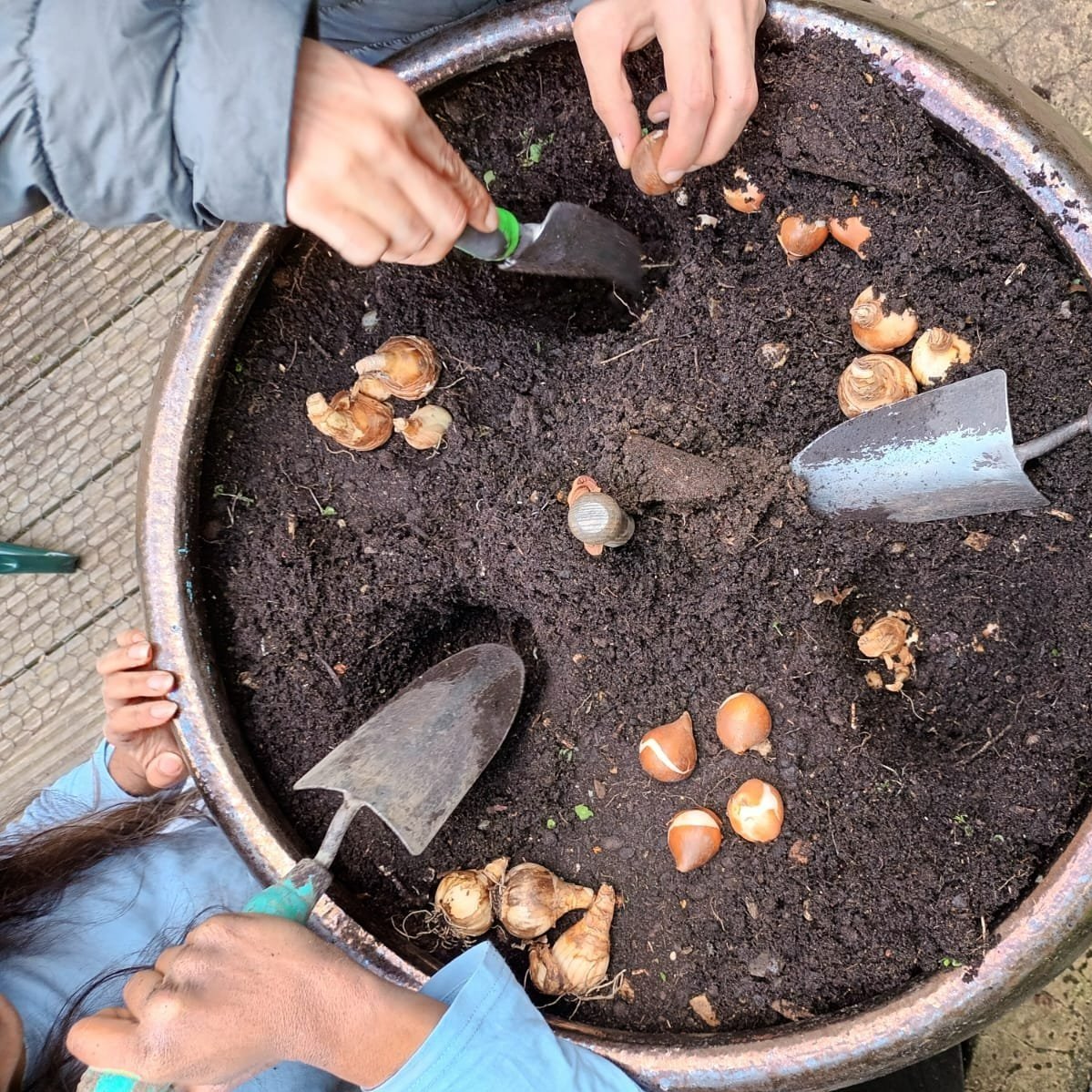 Planting - Exploring Self in Nature