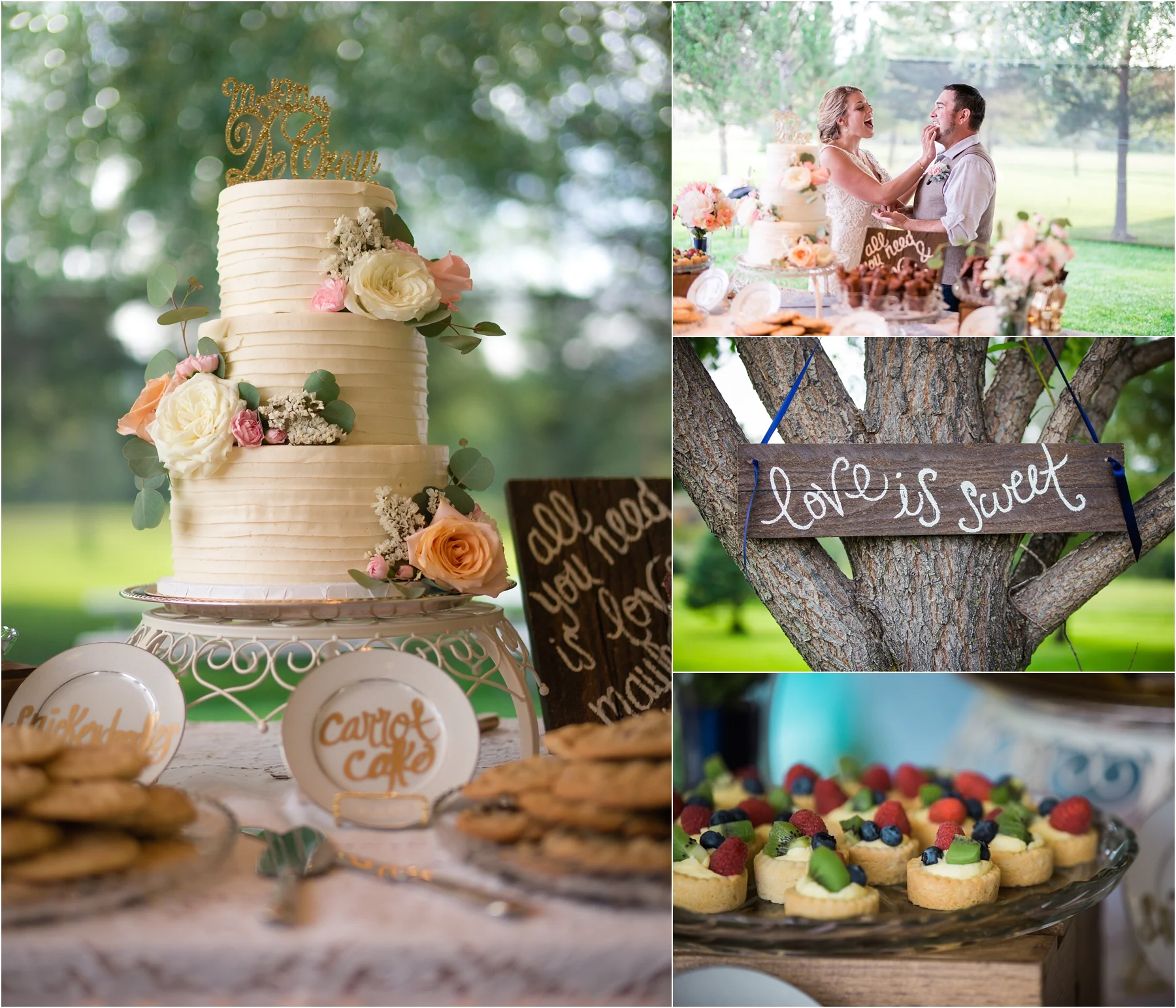 Roaring Fork Wedding Photographer