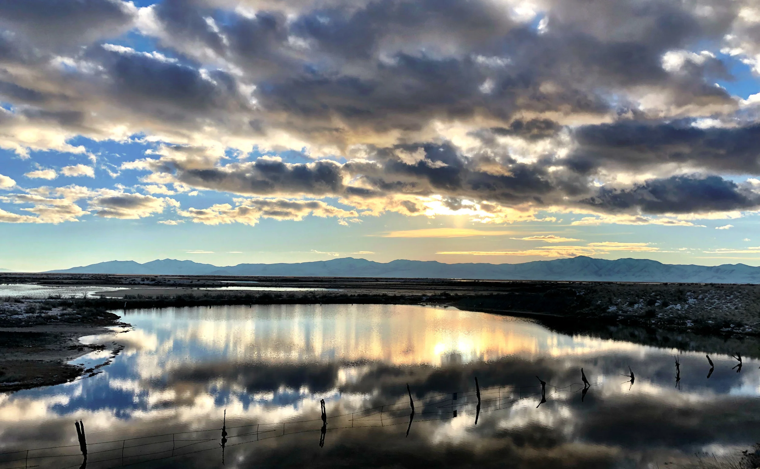 afternoon reflections