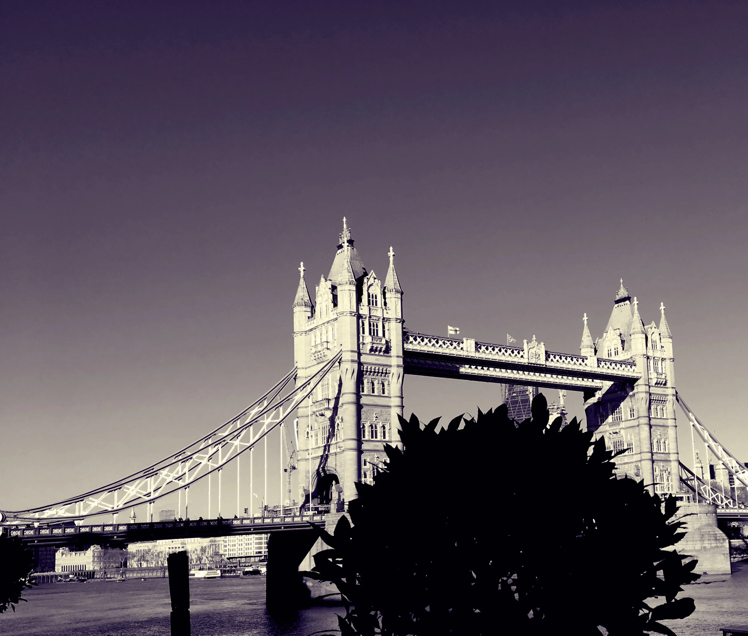 Tower Bridge Monochrome
