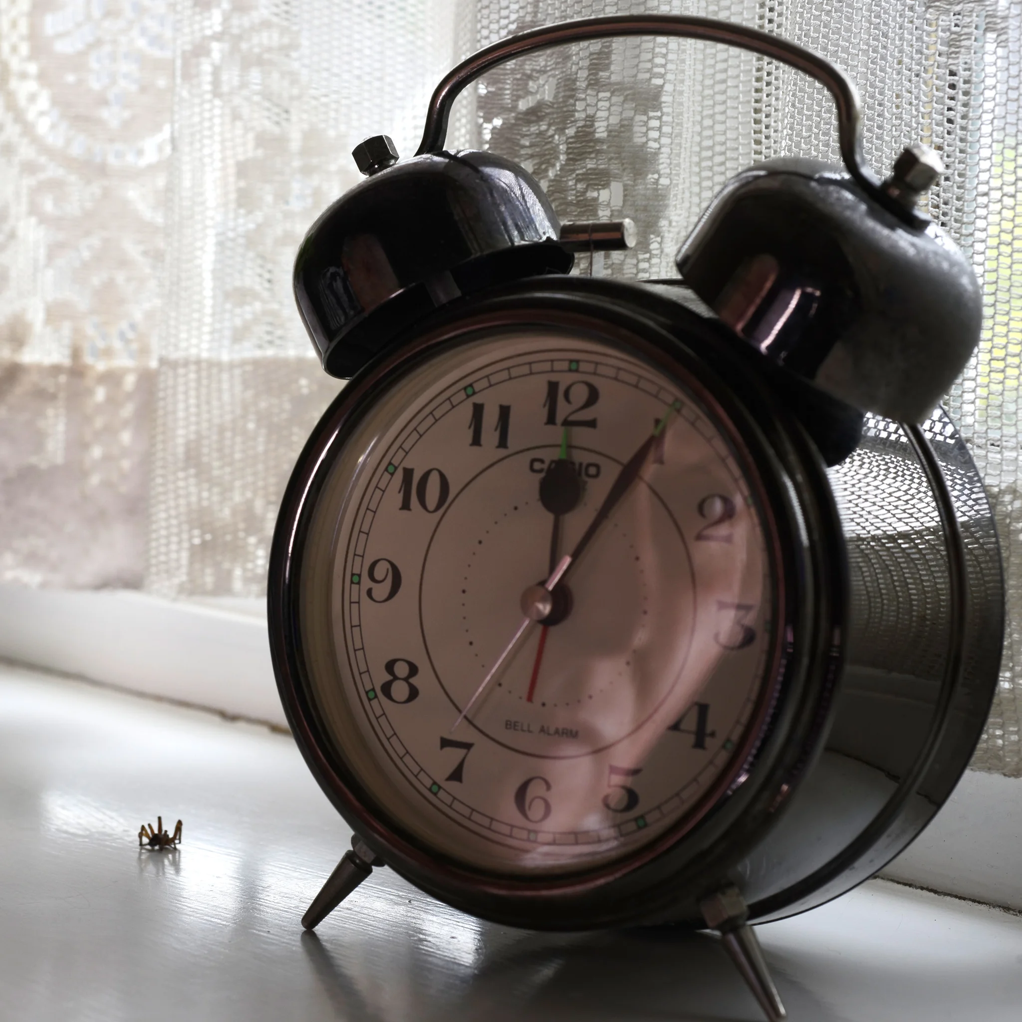 Self-Portrait in clockface, taken by Graham Land, 8th August, 2018