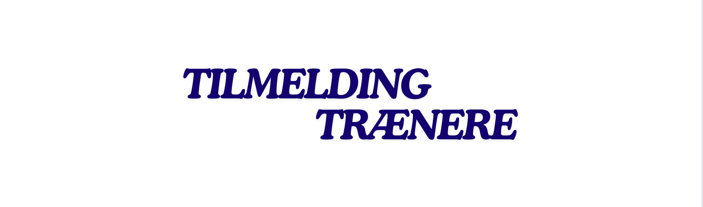 Skærmbillede 2025-11-18 kl. 13.25.08.png