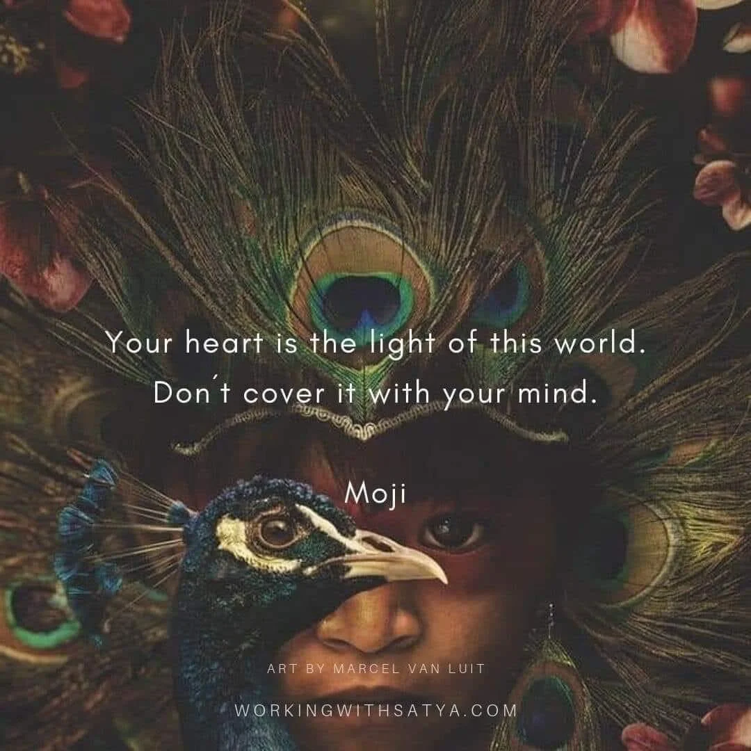 Contact Impro Workshop - Dance with life