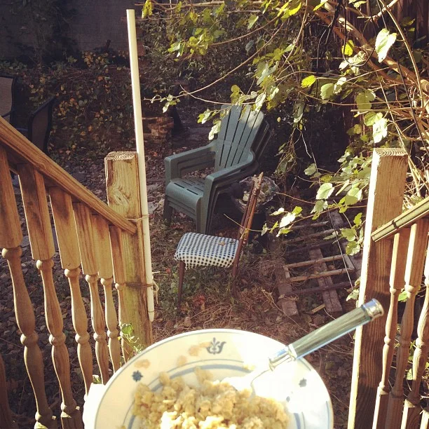 red_hook_backyard_breakfast.jpg