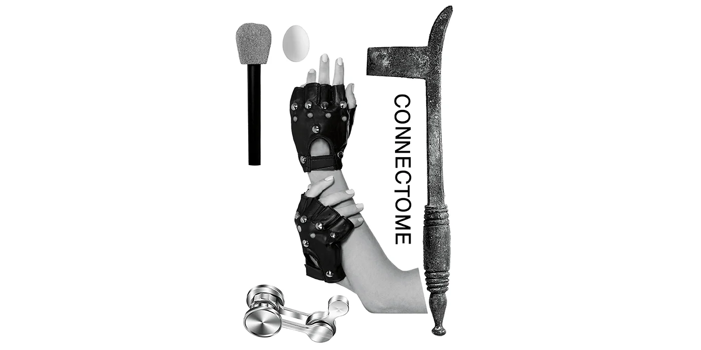 Connectome_MAILCHIMP.jpg
