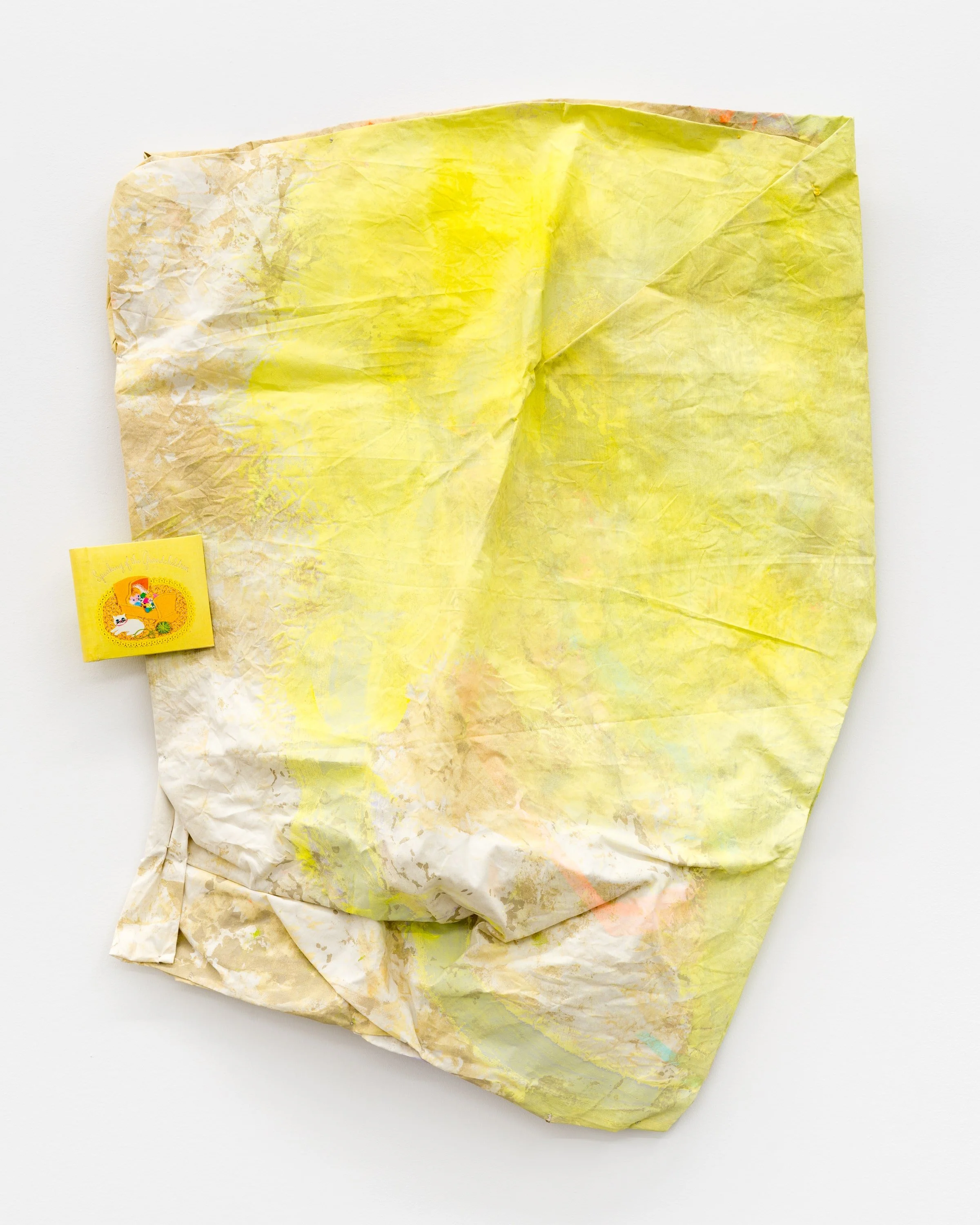 Veamos Juntos | Let's Look Together