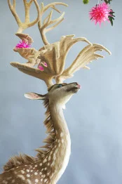 4612930591_174x262.jpg