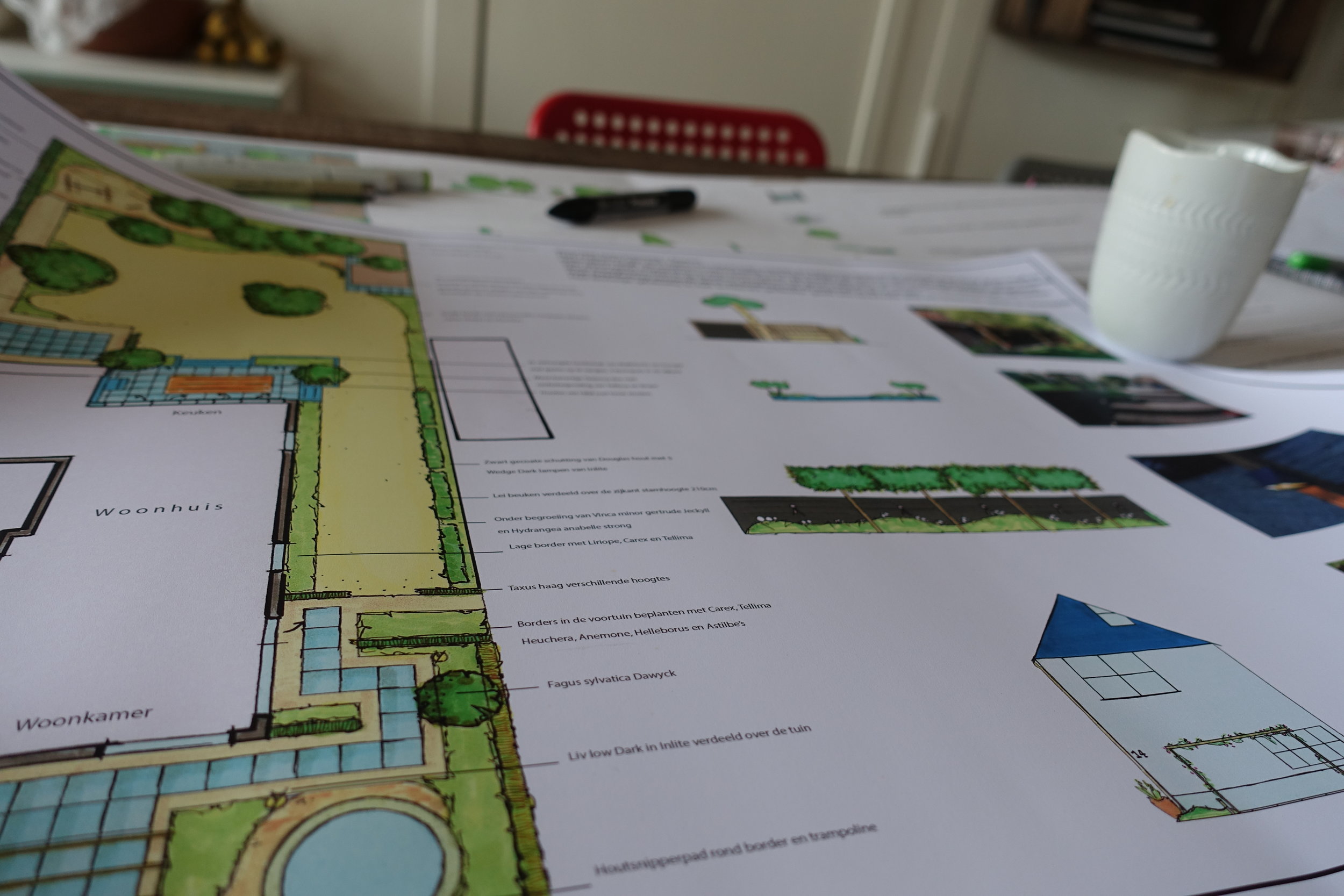 tuinontwerp ontwerper.JPG