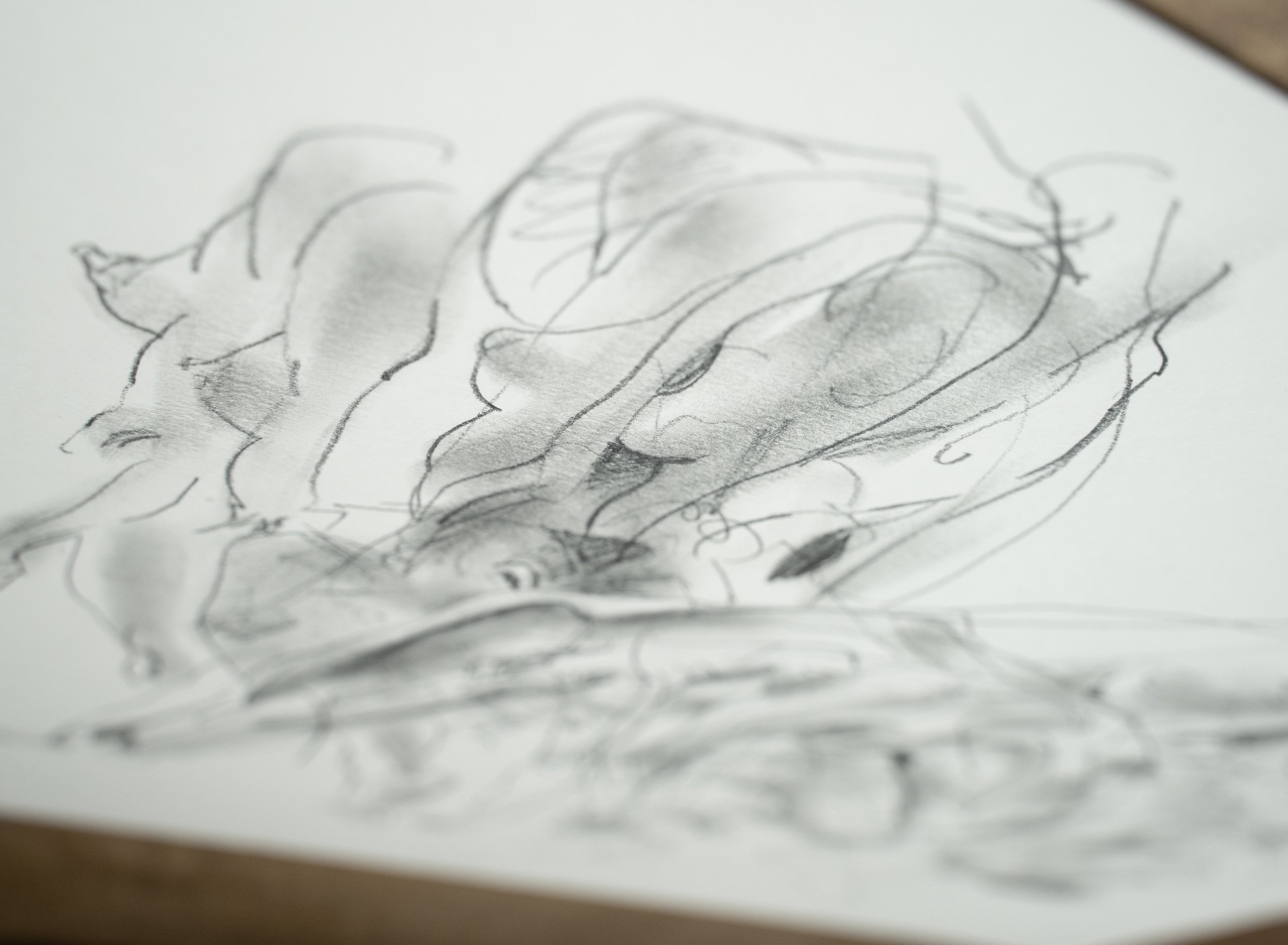 flow2.jpg
