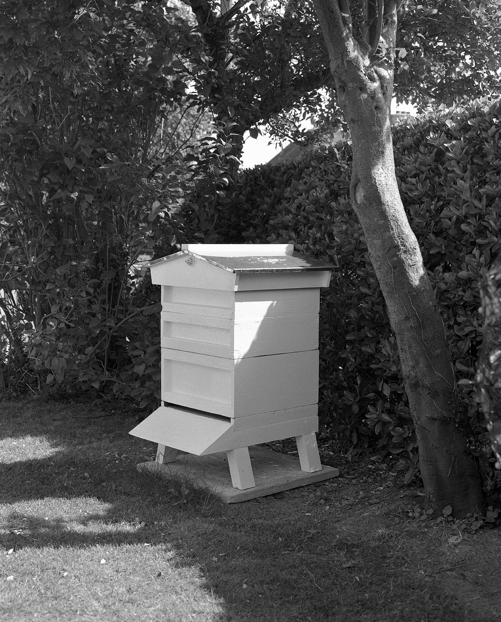 bee hive.jpg