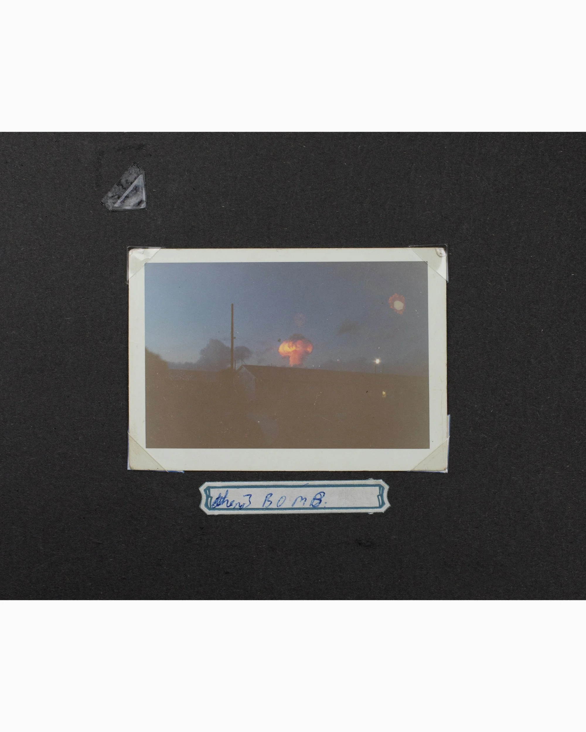 Labrats Reunion:Weston-super-Mare:September2025:Sadie Catt:LowRes:8 copy.jpg