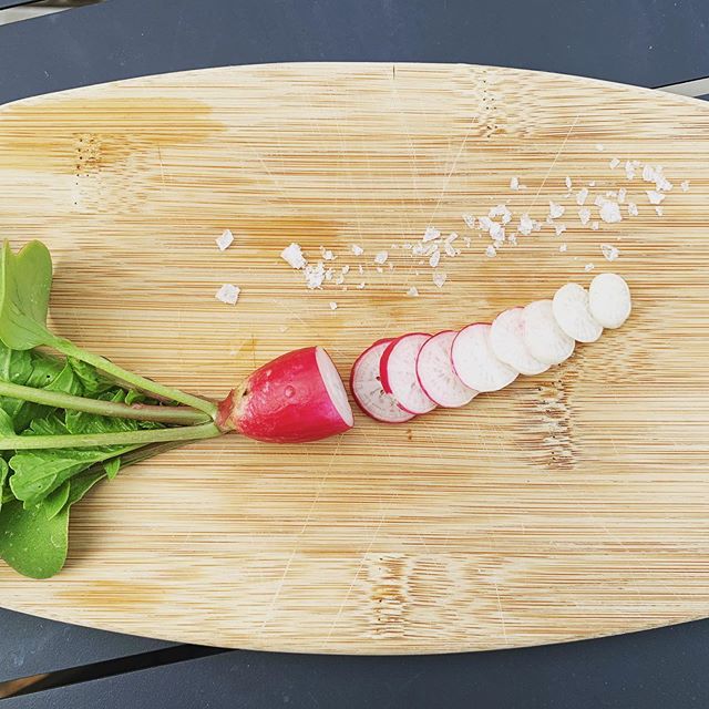 Ceremonial first radish of the season! .
.
.
.
.
#urbangarden #urbangardening #chicagogardening #vegetablegarden #vegetablegardening #radishes #radish #firstharvest