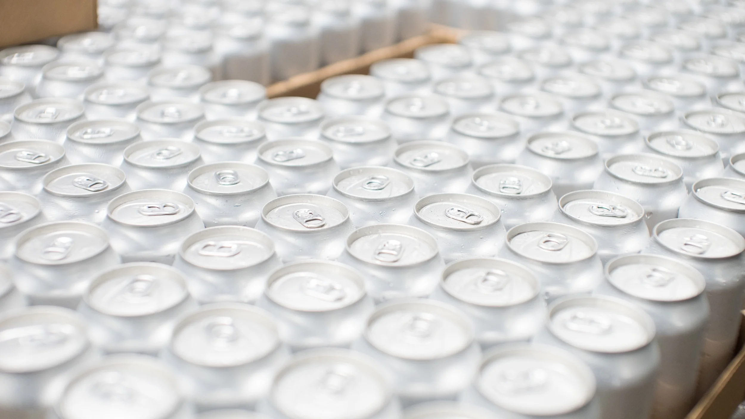 Brite cans-01183.jpg