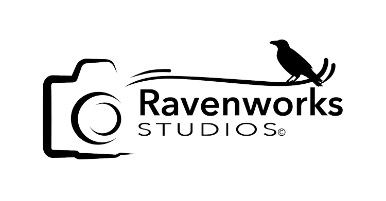 Ravenworks Studios