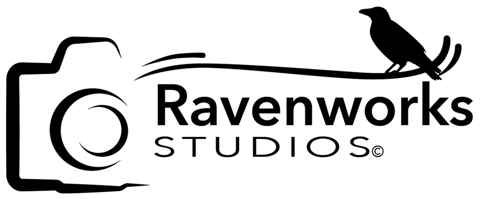 Ravenworks Studios