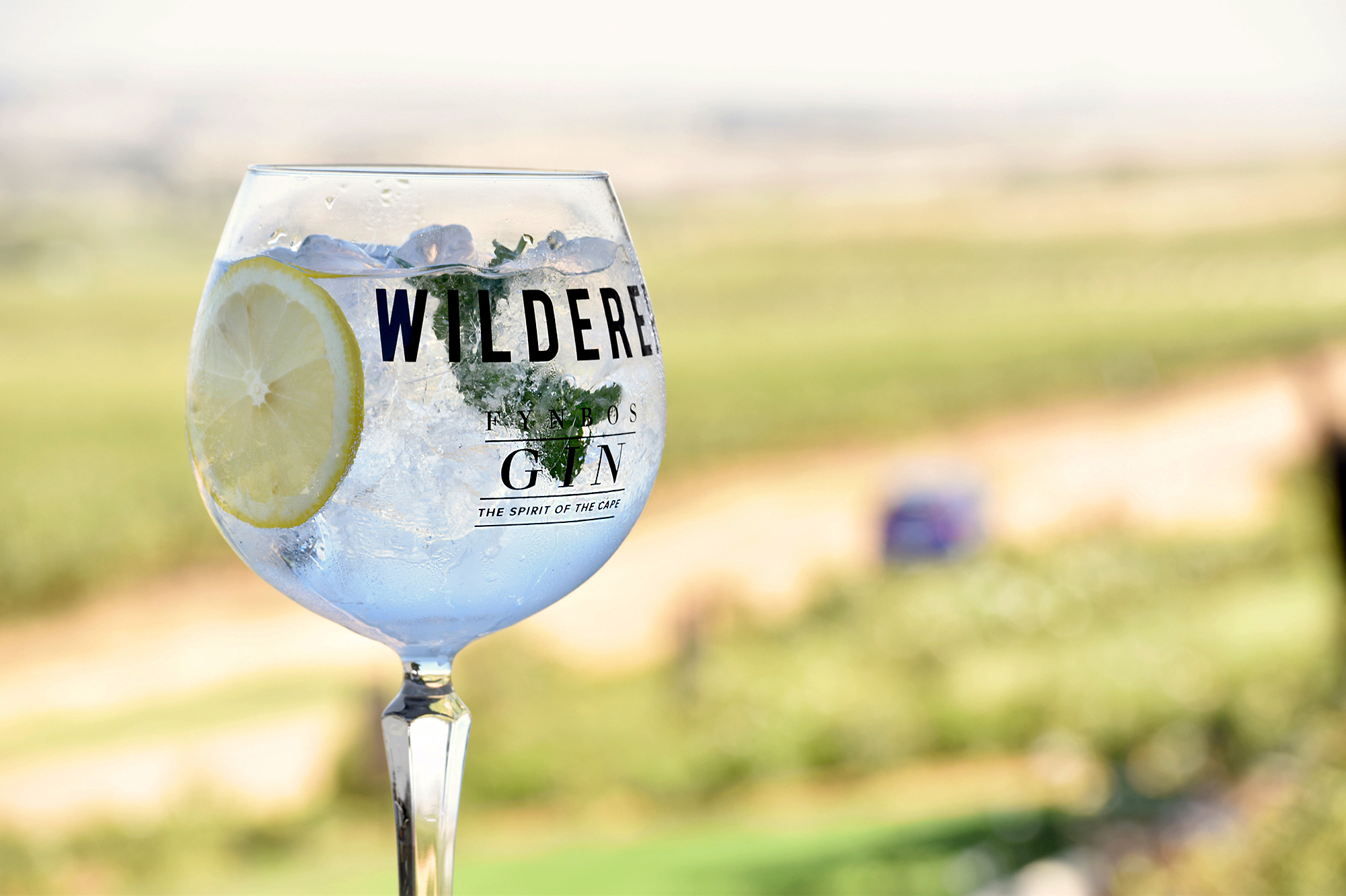 Gin Tour Cape Town Day Tour Cape Town3.jpg
