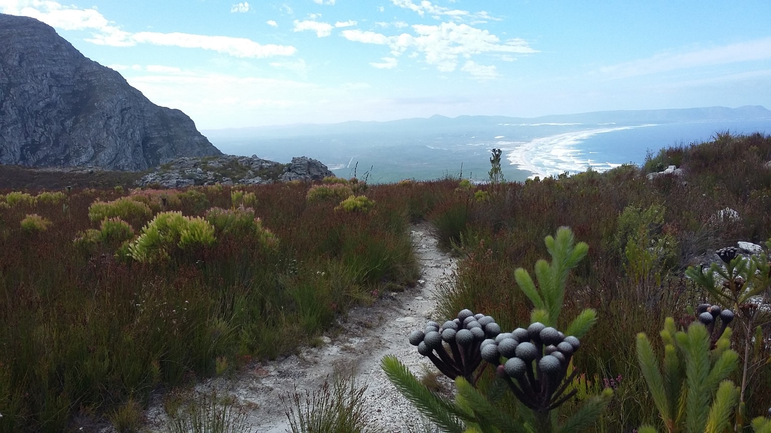 Fernkloof.jpg